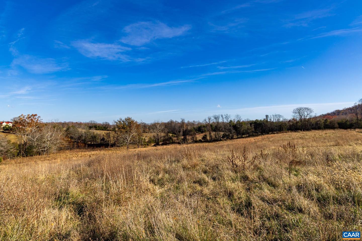 0 OCTONIA RD, STANARDSVILLE, Virginia 22973, ,Farm,For Sale,0 OCTONIA RD,670773 MLS # 670773 0 OCTONIA RD, STANARDSVILLE, Virginia 22973, ,Farm,For Sale,0 OCTONIA RD,670773 MLS # 670773