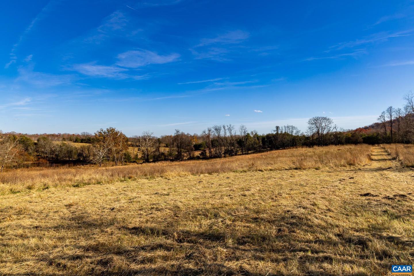 0 OCTONIA RD, STANARDSVILLE, Virginia 22973, ,Farm,For Sale,0 OCTONIA RD,670773 MLS # 670773 0 OCTONIA RD, STANARDSVILLE, Virginia 22973, ,Farm,For Sale,0 OCTONIA RD,670773 MLS # 670773