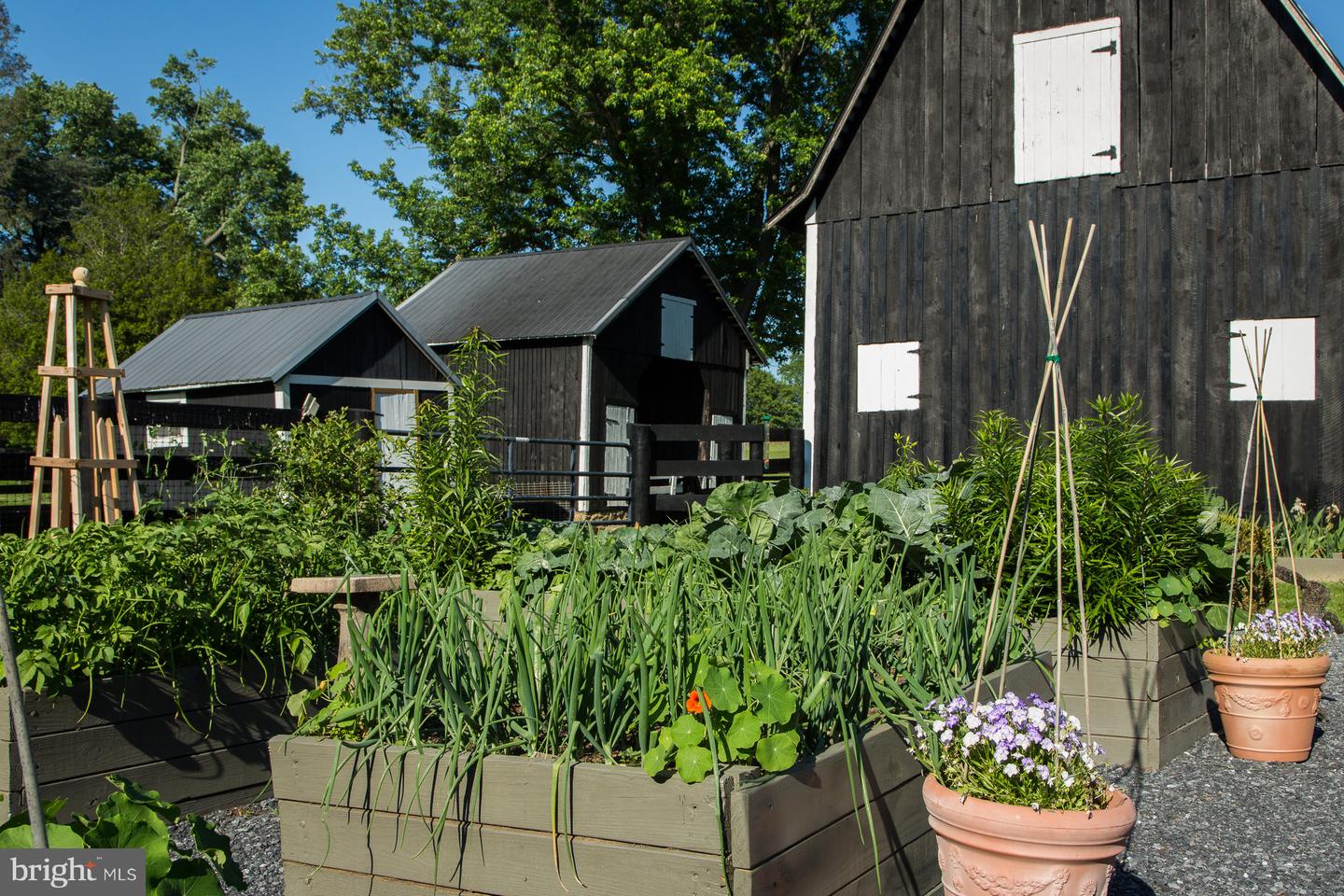 22857 CARTERS FARM LN, MIDDLEBURG, Virginia 20117, 3 Bedrooms Bedrooms, ,2 BathroomsBathrooms,Residential,For Sale,22857 CARTERS FARM LN,VALO2110358 MLS # VALO2110358 22857 CARTERS FARM LN, MIDDLEBURG, Virginia 20117, 3 Bedrooms Bedrooms, ,2 BathroomsBathrooms,Residential,For Sale,22857 CARTERS FARM LN,VALO2110358 MLS # VALO2110358