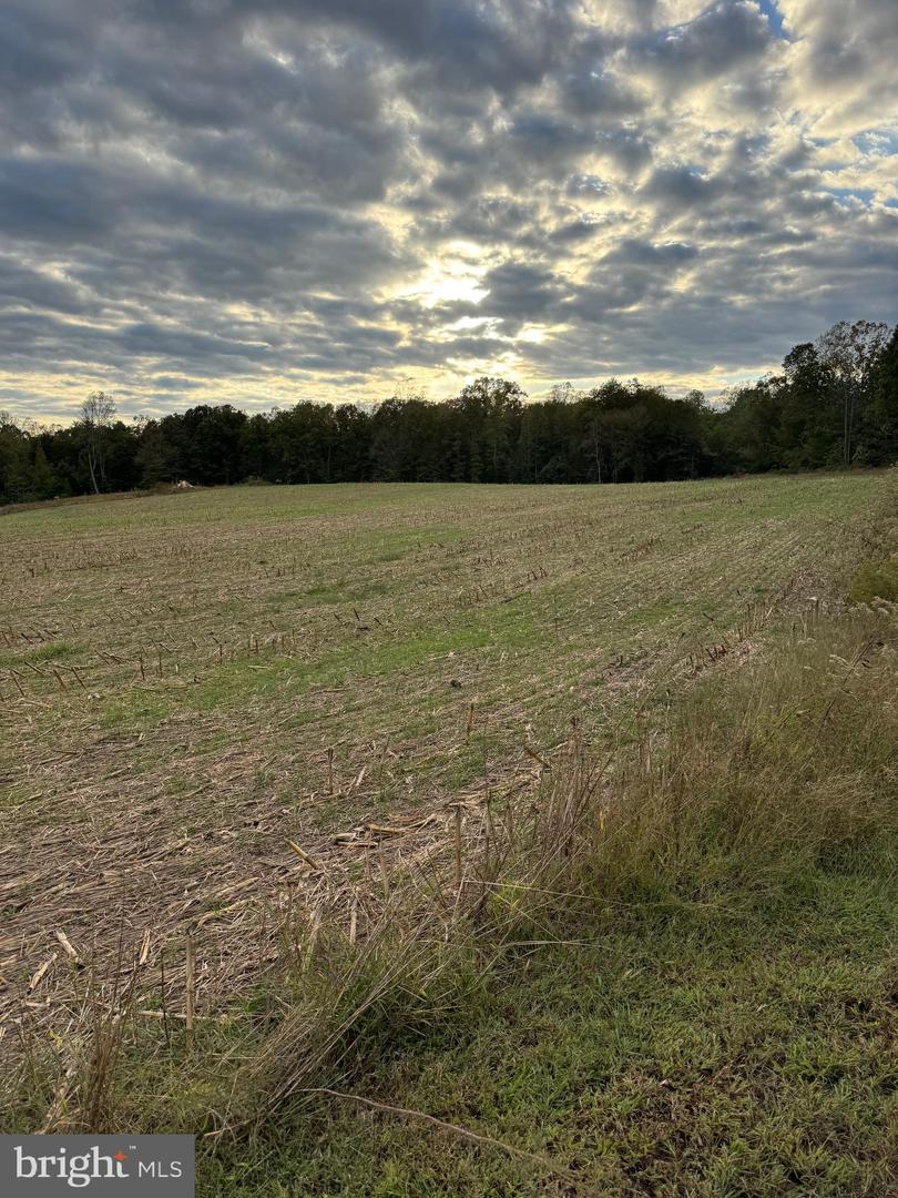 284 BOULDER SPRINGS LN, LOUISA, Virginia 23093, 4 Bedrooms Bedrooms, ,2 BathroomsBathrooms,Residential,For Sale,284 BOULDER SPRINGS LN,VALA2008850 MLS # VALA2008850