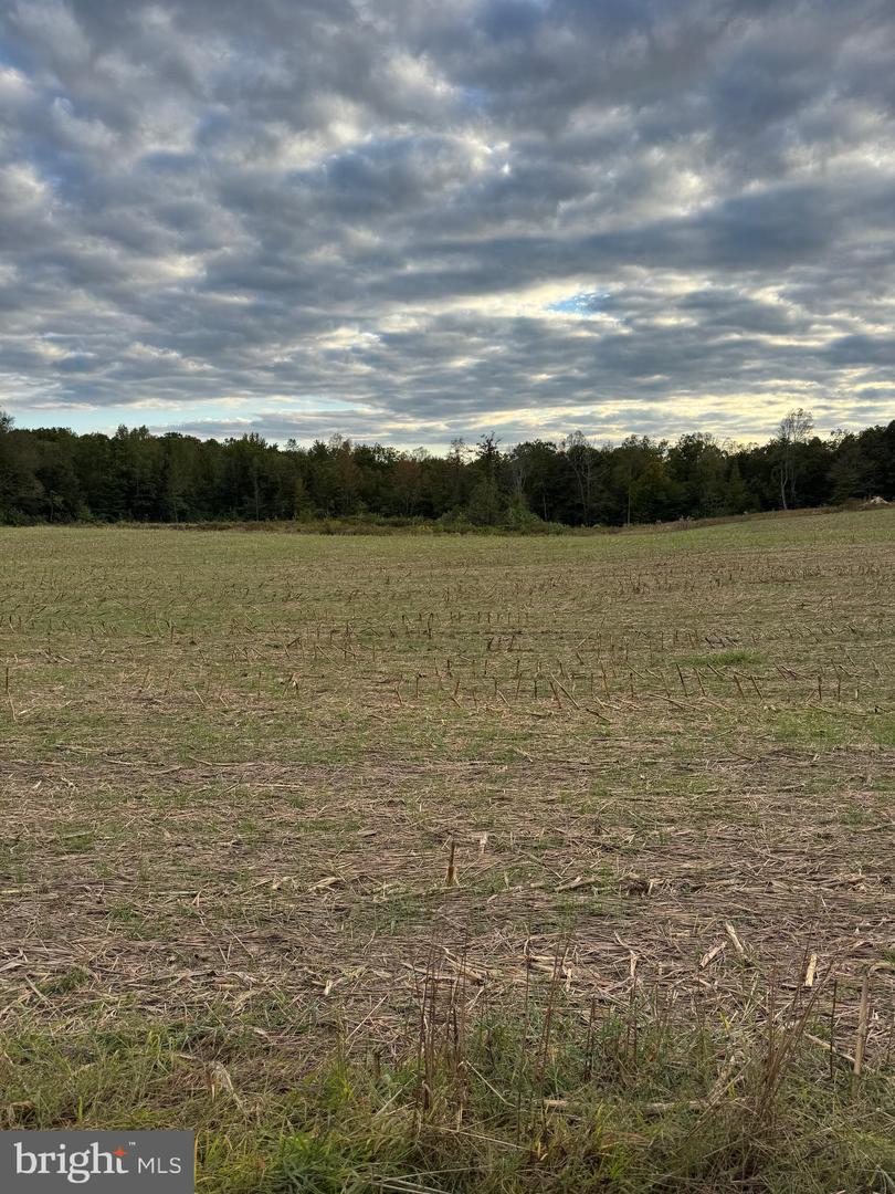 284 BOULDER SPRINGS LN, LOUISA, Virginia 23093, 4 Bedrooms Bedrooms, ,2 BathroomsBathrooms,Residential,For Sale,284 BOULDER SPRINGS LN,VALA2008850 MLS # VALA2008850