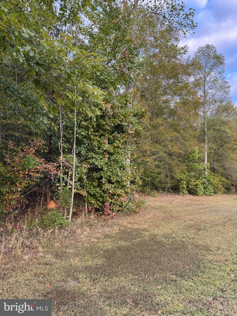 284 BOULDER SPRINGS LN, LOUISA, Virginia 23093, 4 Bedrooms Bedrooms, ,2 BathroomsBathrooms,Residential,For Sale,284 BOULDER SPRINGS LN,VALA2008850 MLS # VALA2008850