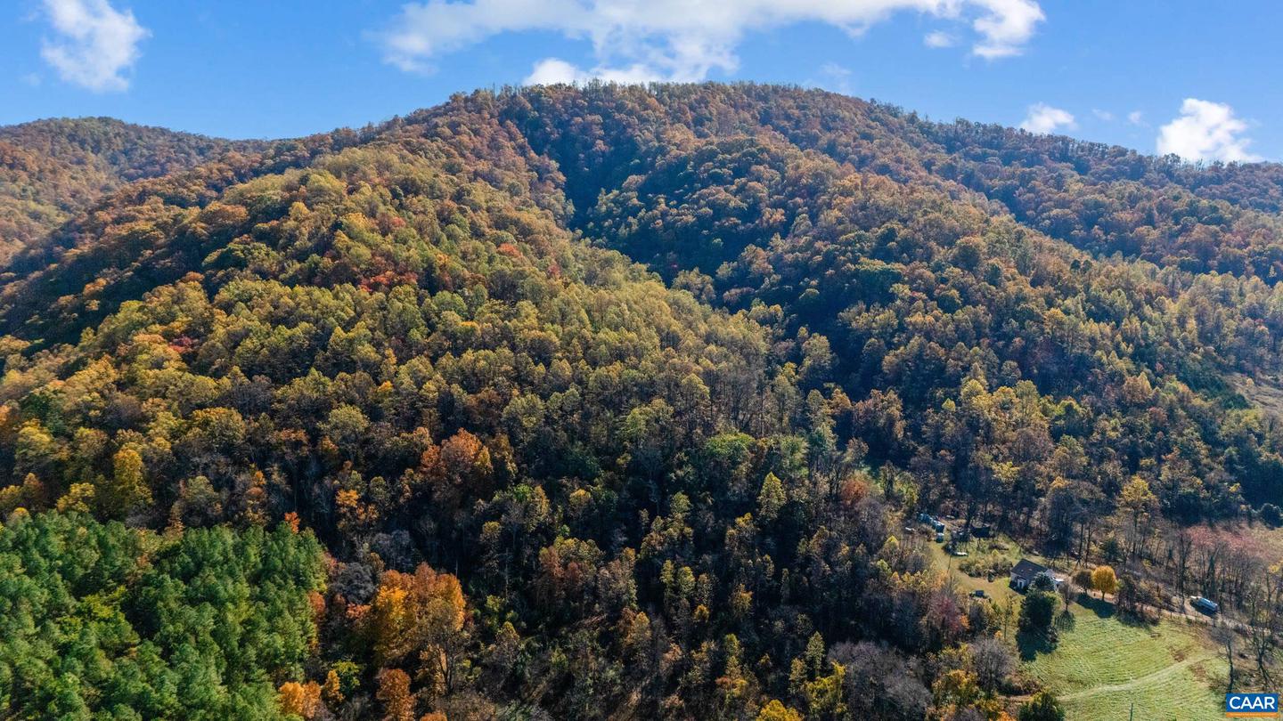 2728 EAST BRANCH LOOP, ROSELAND, Virginia 22967, 2 Bedrooms Bedrooms, ,2 BathroomsBathrooms,Residential,For Sale,2728 EAST BRANCH LOOP,670774 MLS # 670774