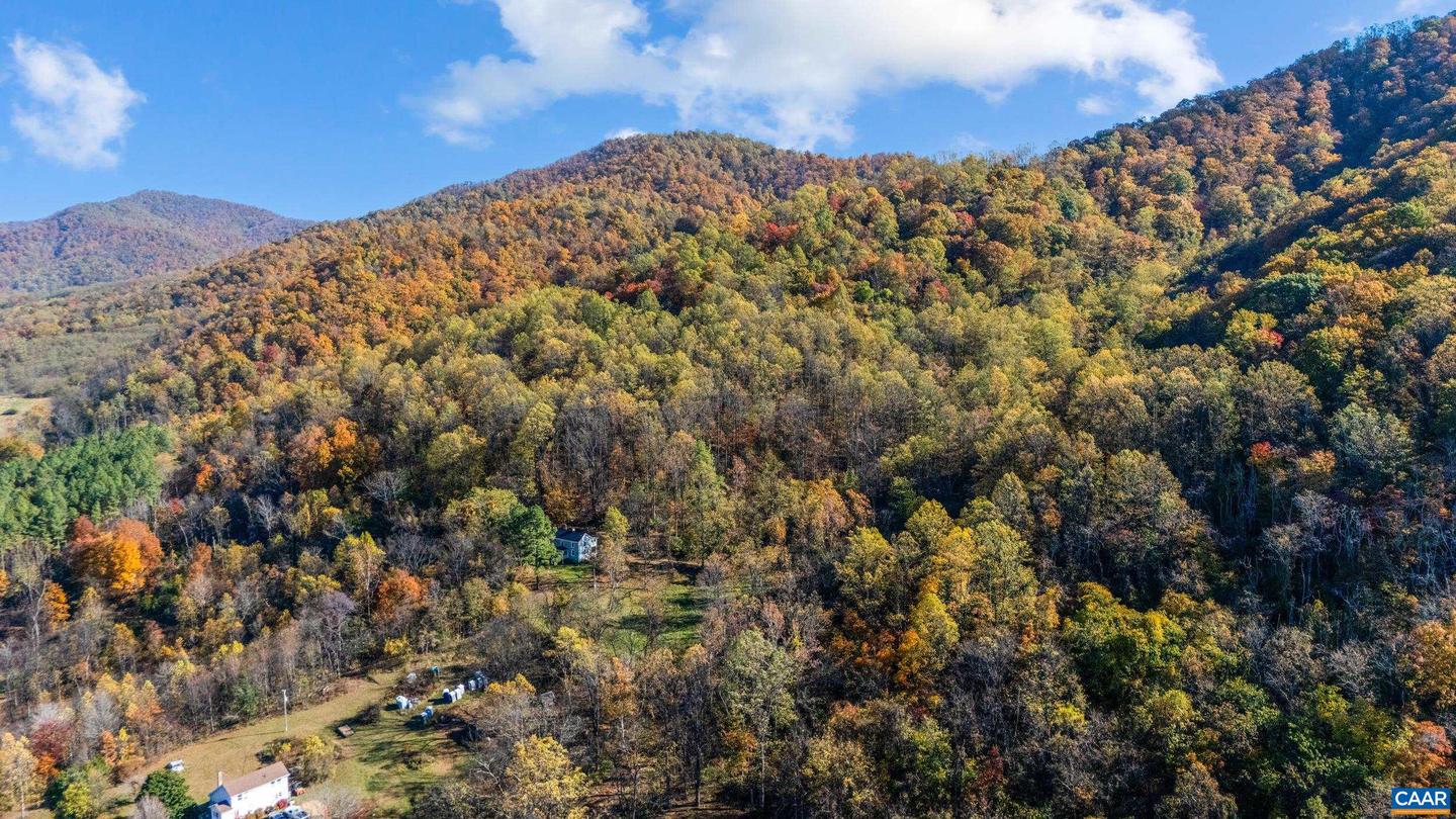 2728 EAST BRANCH LOOP, ROSELAND, Virginia 22967, 2 Bedrooms Bedrooms, ,2 BathroomsBathrooms,Residential,For Sale,2728 EAST BRANCH LOOP,670774 MLS # 670774