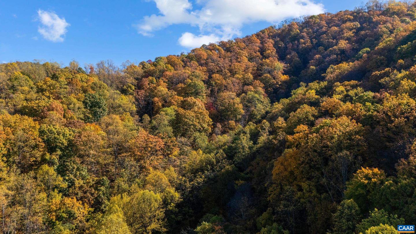 2728 EAST BRANCH LOOP, ROSELAND, Virginia 22967, 2 Bedrooms Bedrooms, ,2 BathroomsBathrooms,Residential,For Sale,2728 EAST BRANCH LOOP,670774 MLS # 670774