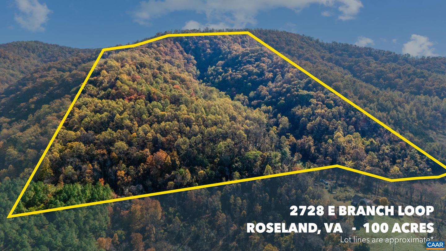 2728 EAST BRANCH LOOP, ROSELAND, Virginia 22967, 2 Bedrooms Bedrooms, ,2 BathroomsBathrooms,Residential,For Sale,2728 EAST BRANCH LOOP,670774 MLS # 670774