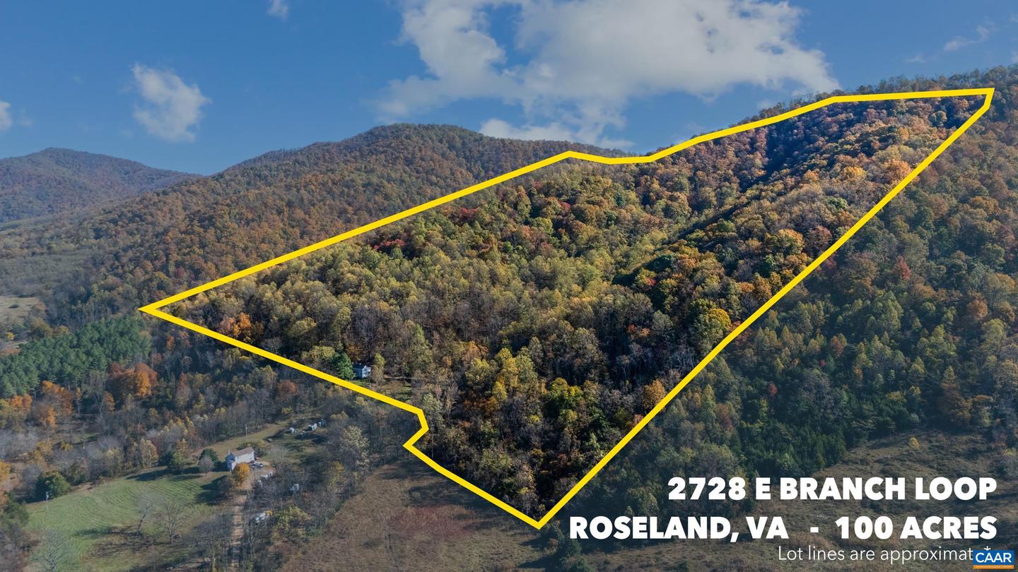 2728 EAST BRANCH LOOP, ROSELAND, Virginia 22967, 2 Bedrooms Bedrooms, ,2 BathroomsBathrooms,Residential,For Sale,2728 EAST BRANCH LOOP,670774 MLS # 670774