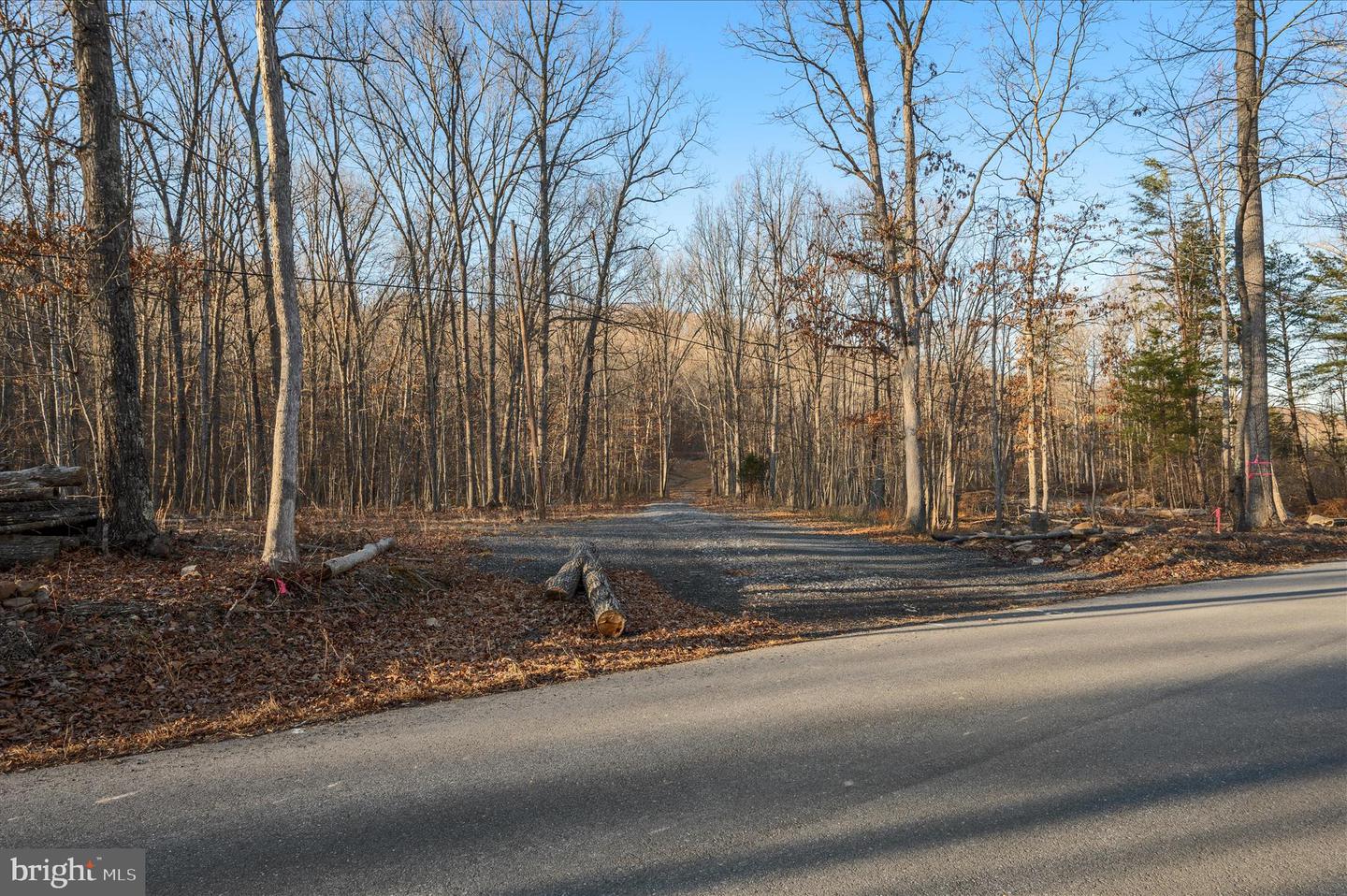 BACK CREEK RD, GORE, Virginia 22637, ,Land,For Sale,BACK CREEK RD,VAFV2037822 MLS # VAFV2037822
