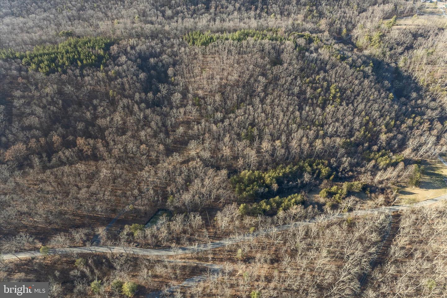 BACK CREEK RD, GORE, Virginia 22637, ,Land,For Sale,BACK CREEK RD,VAFV2037822 MLS # VAFV2037822