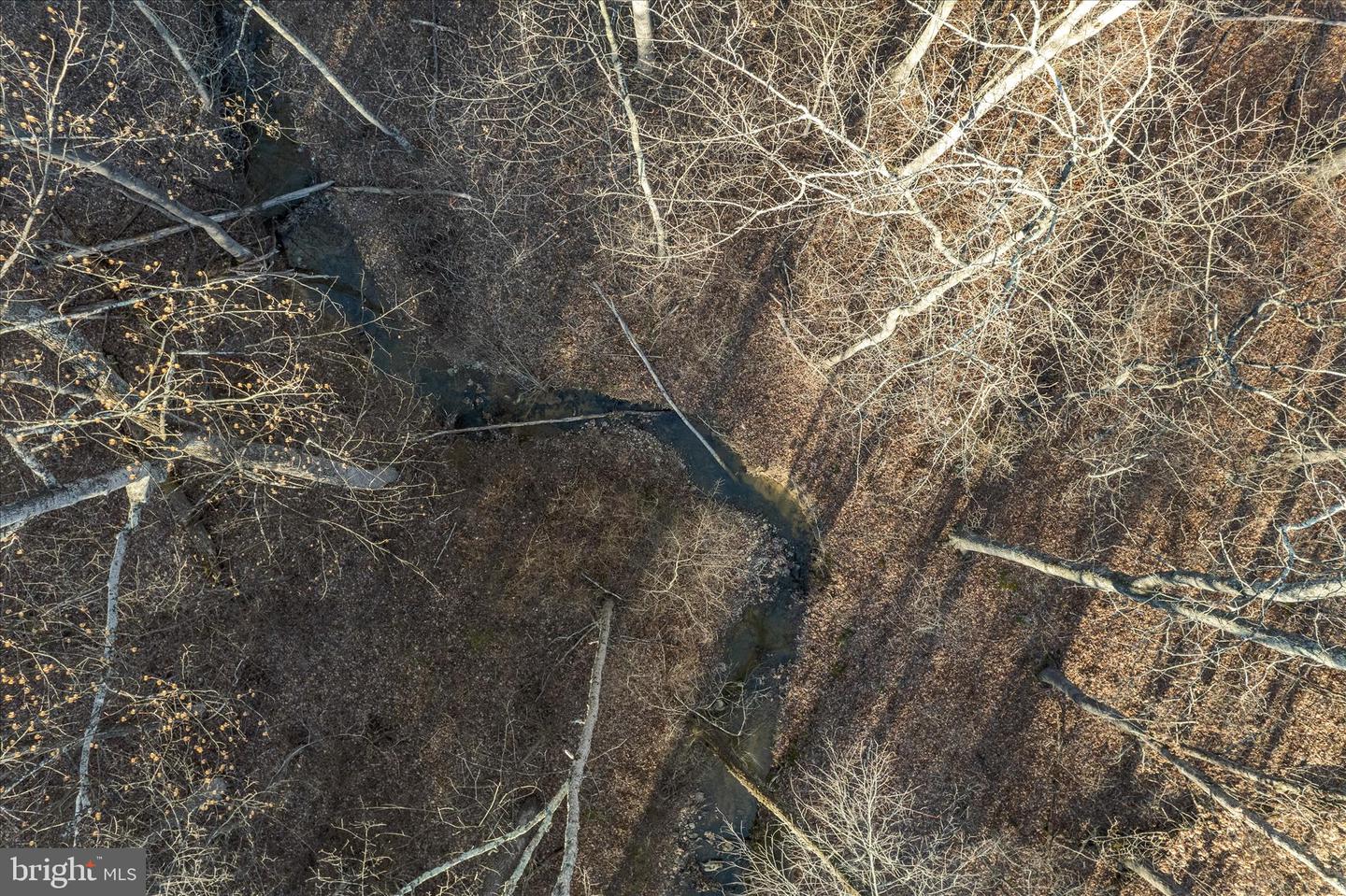 BACK CREEK RD, GORE, Virginia 22637, ,Land,For Sale,BACK CREEK RD,VAFV2037822 MLS # VAFV2037822