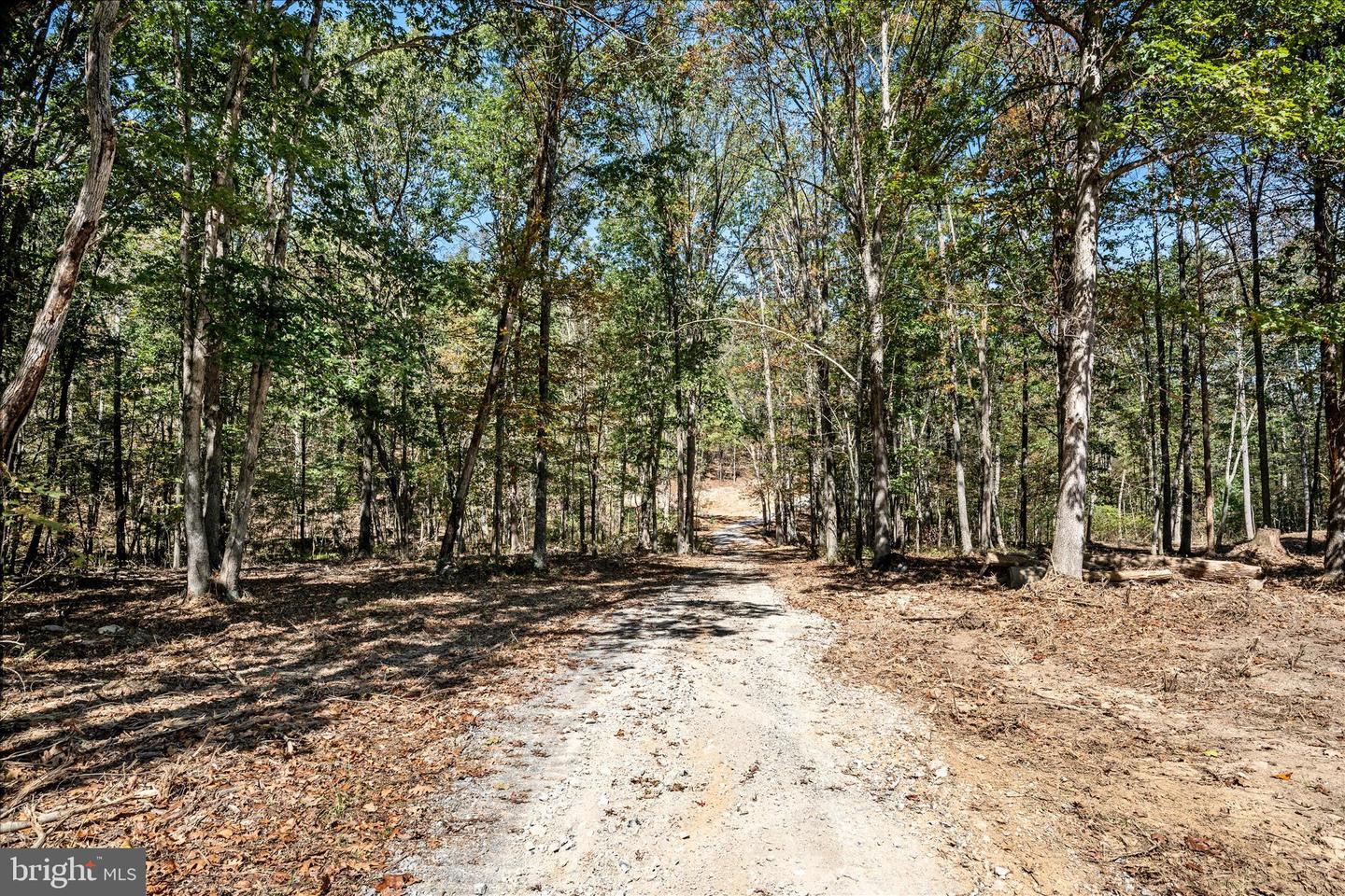 BACK CREEK RD, GORE, Virginia 22637, ,Land,For Sale,BACK CREEK RD,VAFV2037822 MLS # VAFV2037822