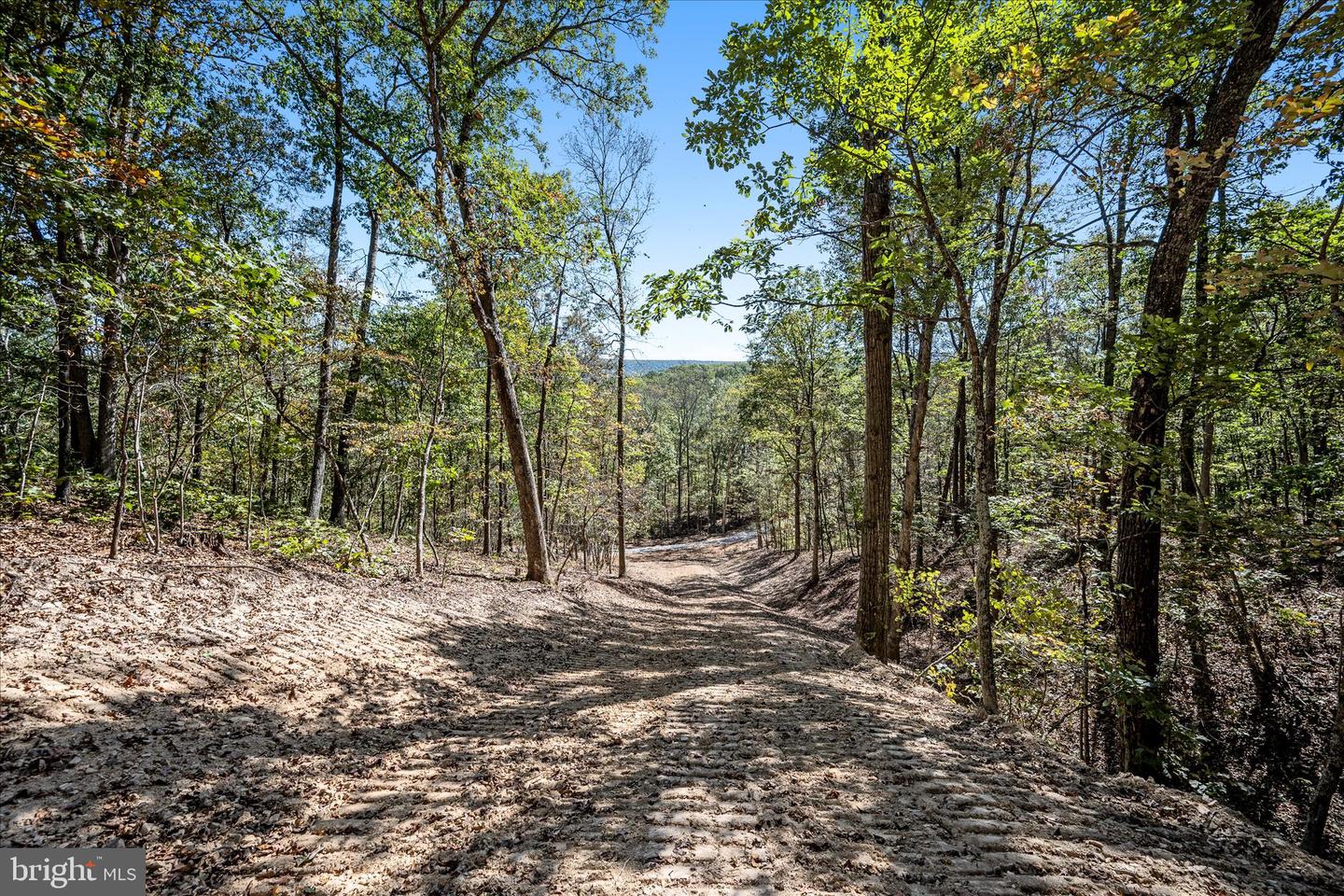 BACK CREEK RD, GORE, Virginia 22637, ,Land,For Sale,BACK CREEK RD,VAFV2037822 MLS # VAFV2037822