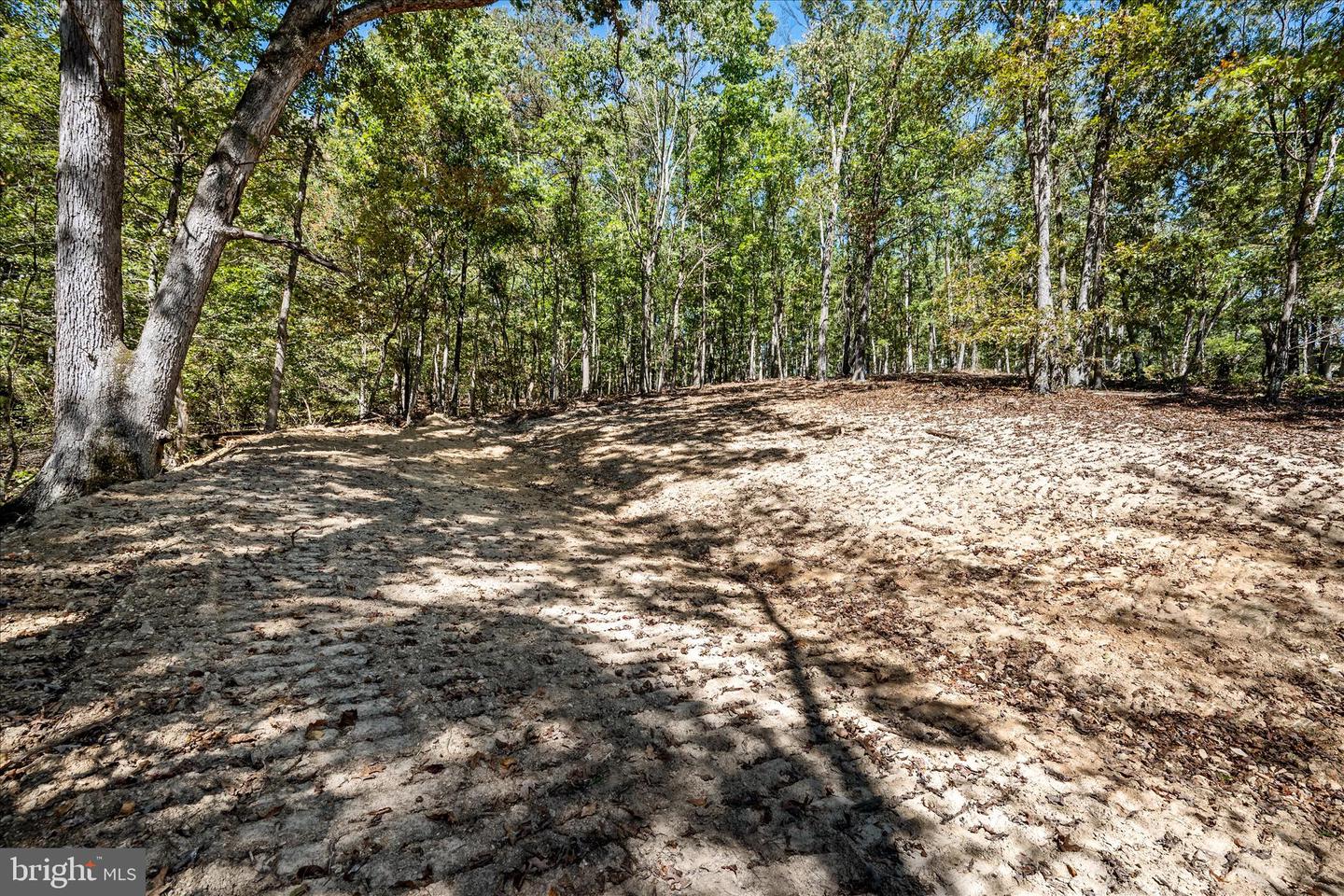 BACK CREEK RD, GORE, Virginia 22637, ,Land,For Sale,BACK CREEK RD,VAFV2037822 MLS # VAFV2037822