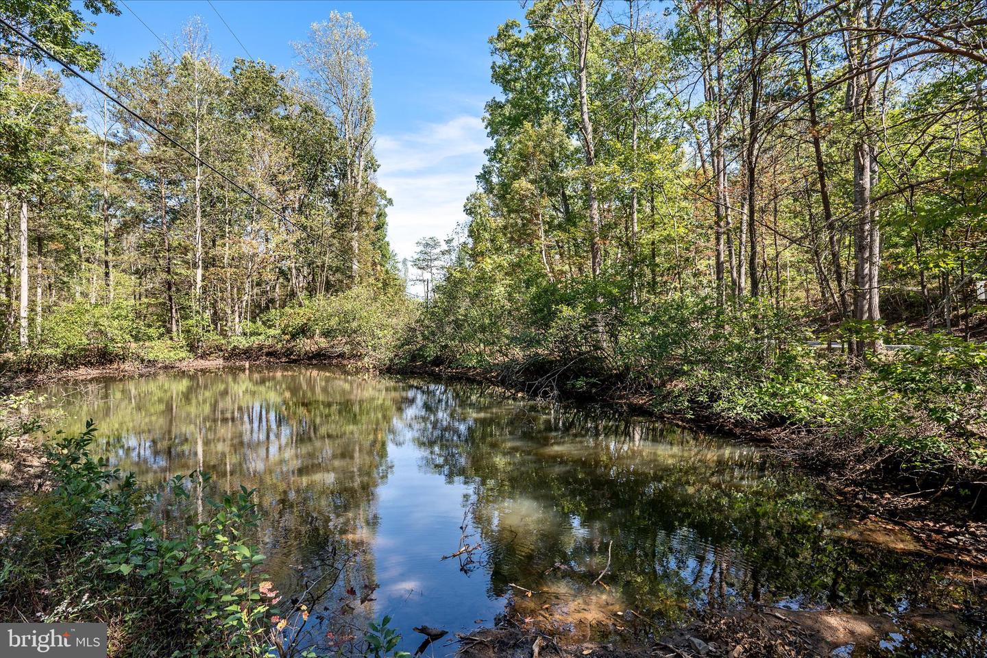 BACK CREEK RD, GORE, Virginia 22637, ,Land,For Sale,BACK CREEK RD,VAFV2037822 MLS # VAFV2037822