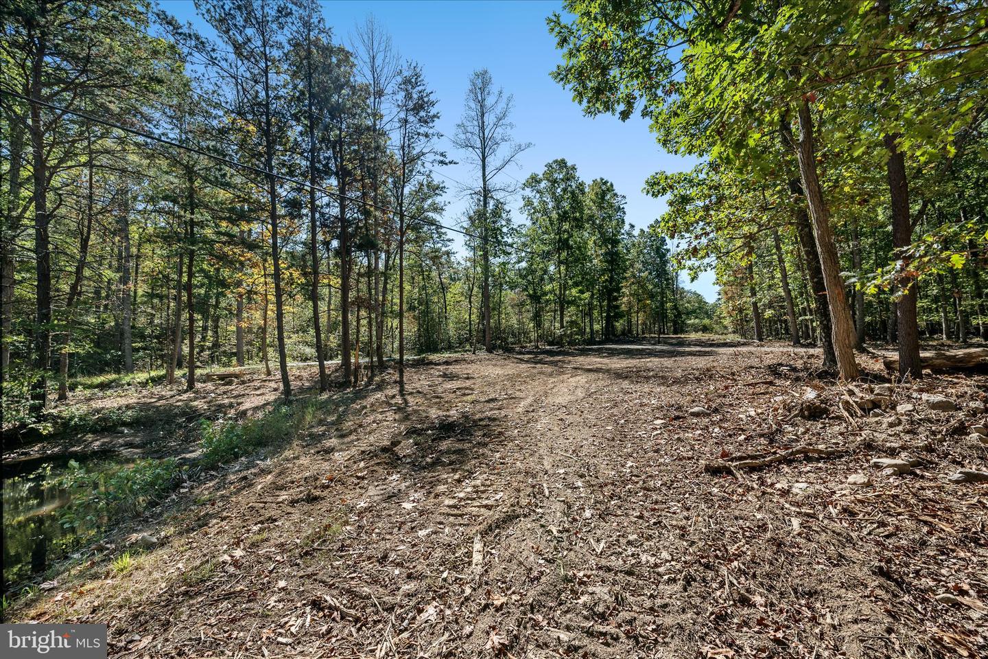 BACK CREEK RD, GORE, Virginia 22637, ,Land,For Sale,BACK CREEK RD,VAFV2037822 MLS # VAFV2037822