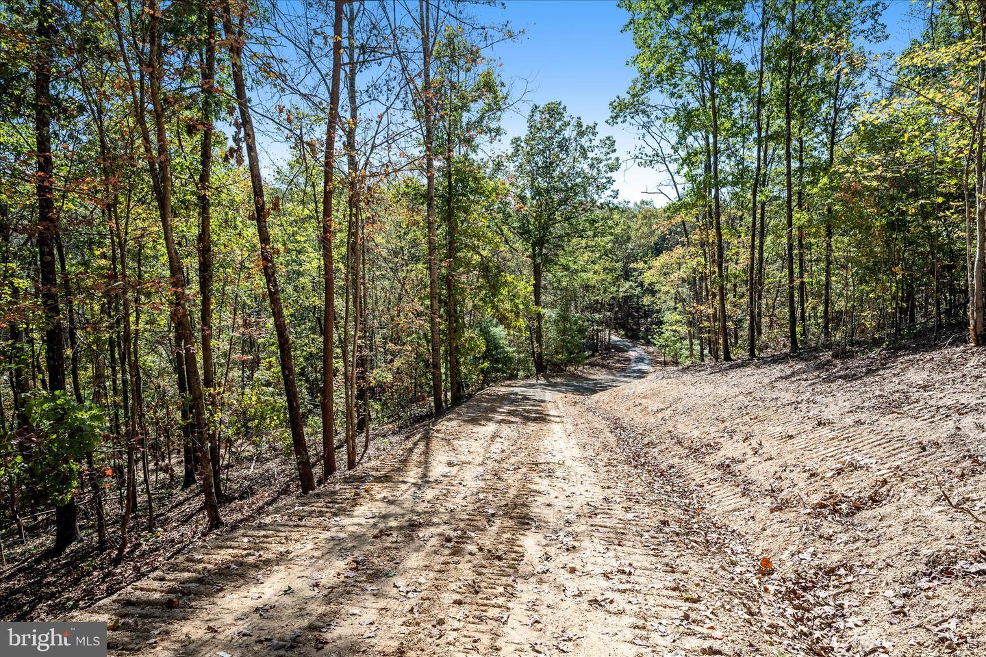 BACK CREEK RD, GORE, Virginia 22637, ,Land,For Sale,BACK CREEK RD,VAFV2037822 MLS # VAFV2037822