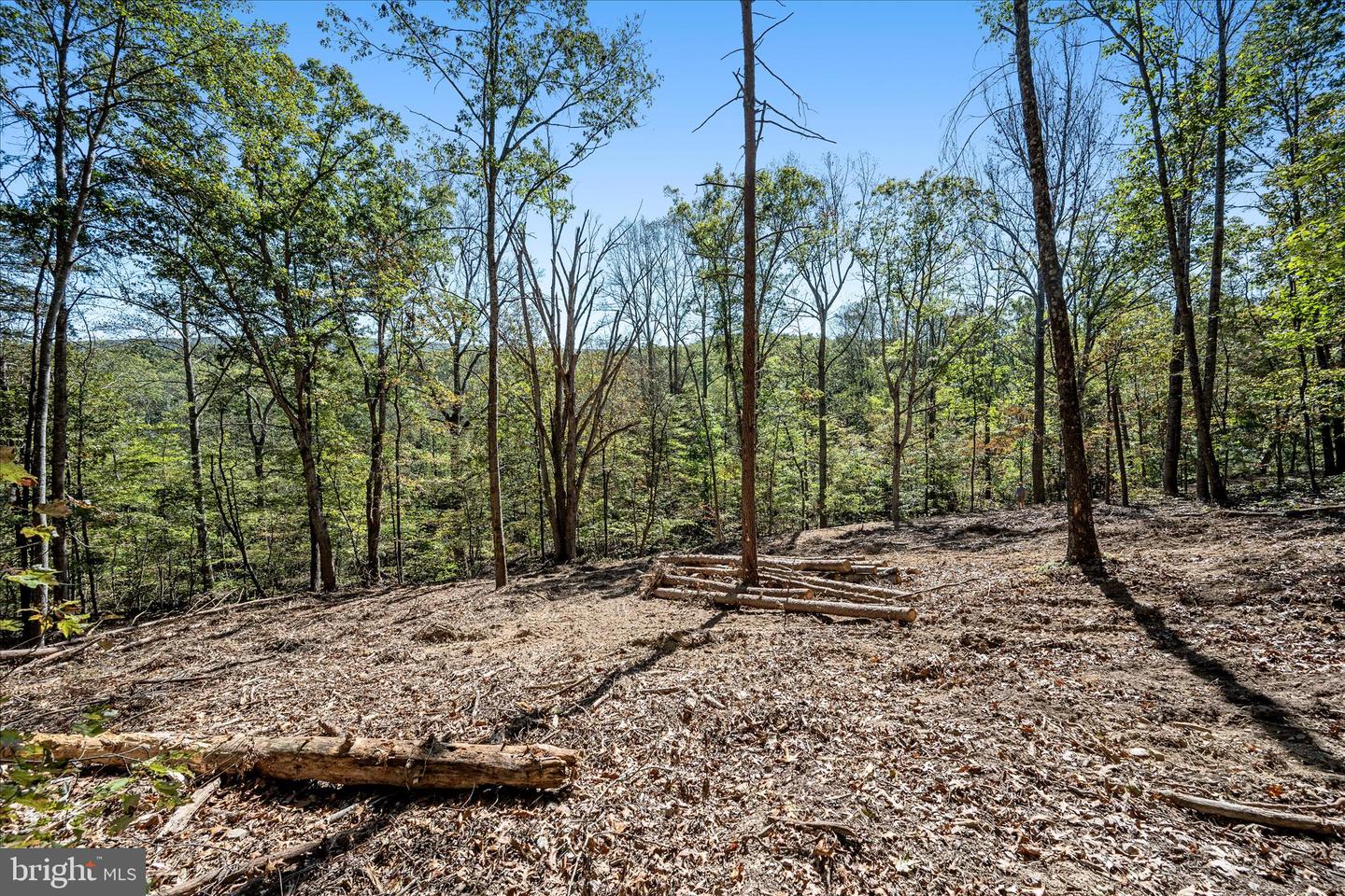 BACK CREEK RD, GORE, Virginia 22637, ,Land,For Sale,BACK CREEK RD,VAFV2037822 MLS # VAFV2037822