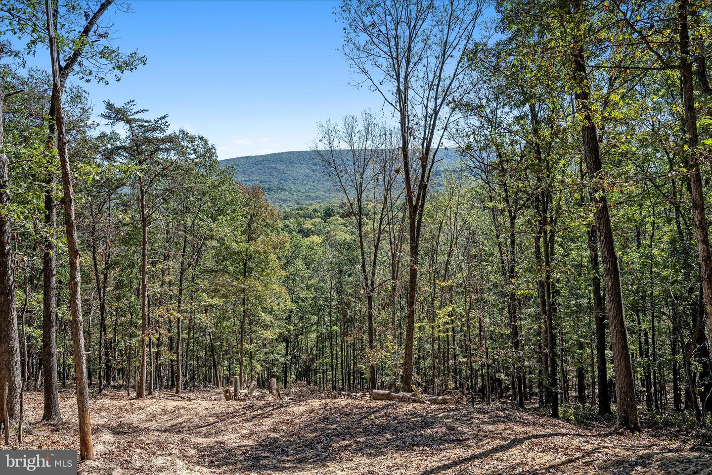BACK CREEK RD, GORE, Virginia 22637, ,Land,For Sale,BACK CREEK RD,VAFV2037822 MLS # VAFV2037822