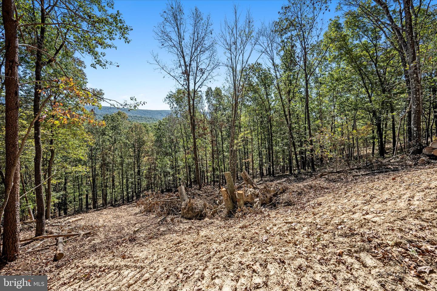 BACK CREEK RD, GORE, Virginia 22637, ,Land,For Sale,BACK CREEK RD,VAFV2037822 MLS # VAFV2037822