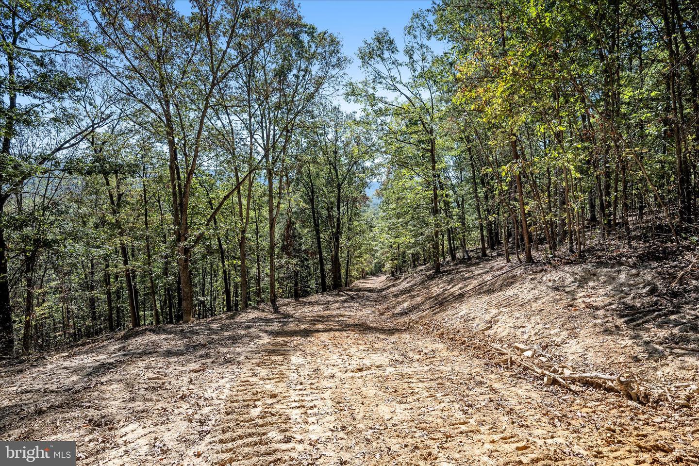 BACK CREEK RD, GORE, Virginia 22637, ,Land,For Sale,BACK CREEK RD,VAFV2037822 MLS # VAFV2037822