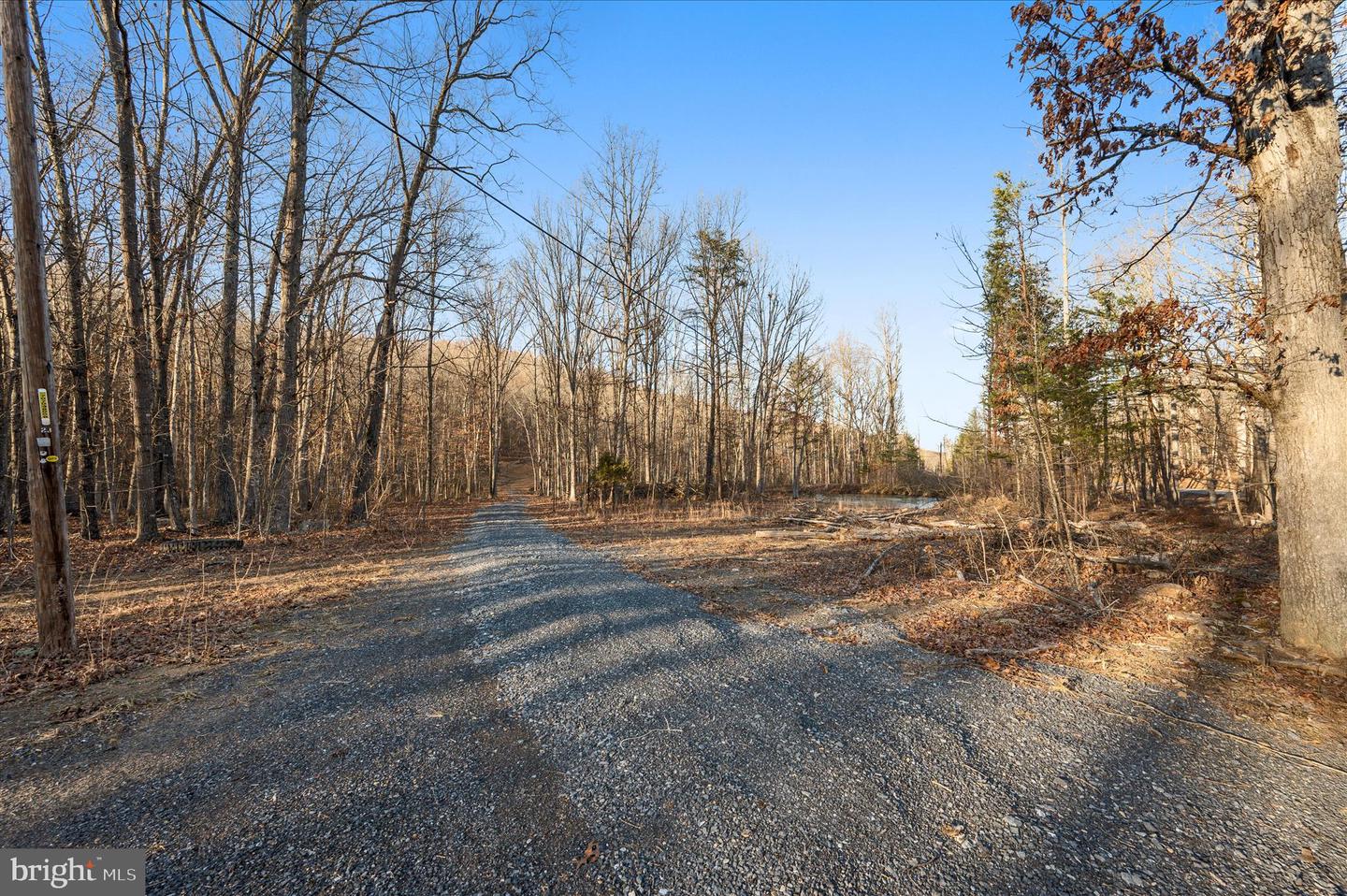 BACK CREEK RD, GORE, Virginia 22637, ,Land,For Sale,BACK CREEK RD,VAFV2037822 MLS # VAFV2037822