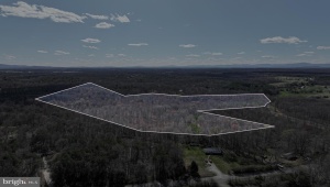 TANNERS ORANGE Virginia 22960