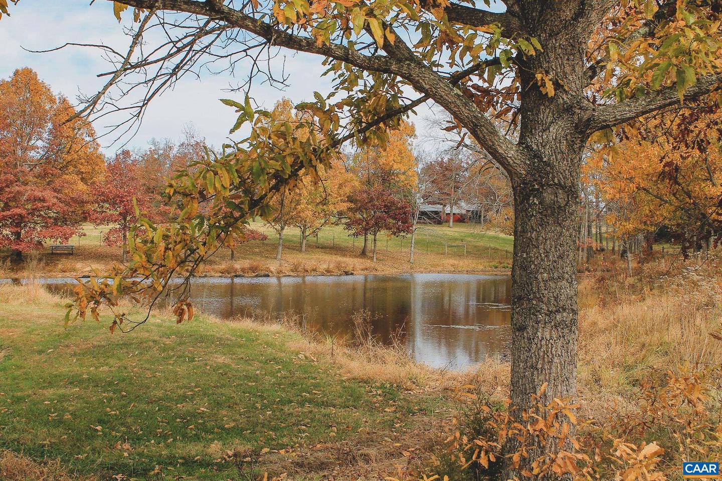 3785 ROLLING RD S, SCOTTSVILLE, Virginia 24590, 2 Bedrooms Bedrooms, ,1 BathroomBathrooms,Farm,For Sale,3785 ROLLING RD S,670836 MLS # 670836