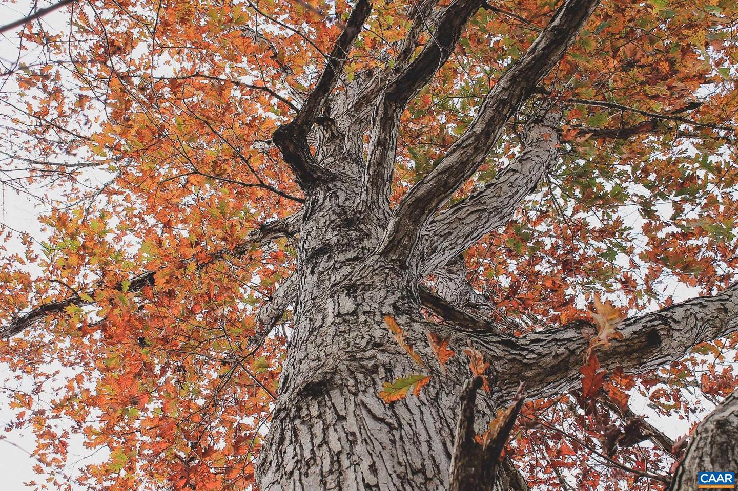 3785 ROLLING RD S, SCOTTSVILLE, Virginia 24590, 2 Bedrooms Bedrooms, ,1 BathroomBathrooms,Farm,For Sale,3785 ROLLING RD S,670836 MLS # 670836