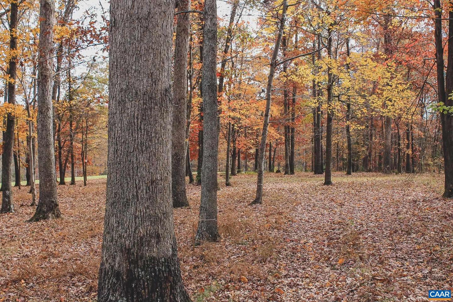 3785 ROLLING RD S, SCOTTSVILLE, Virginia 24590, 2 Bedrooms Bedrooms, ,1 BathroomBathrooms,Farm,For Sale,3785 ROLLING RD S,670836 MLS # 670836