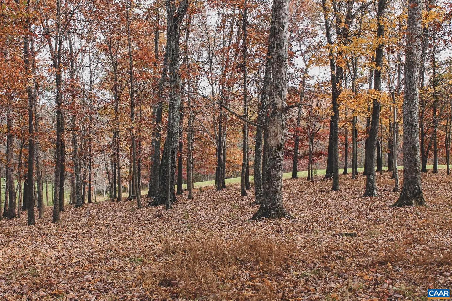 3785 ROLLING RD S, SCOTTSVILLE, Virginia 24590, 2 Bedrooms Bedrooms, ,1 BathroomBathrooms,Farm,For Sale,3785 ROLLING RD S,670836 MLS # 670836