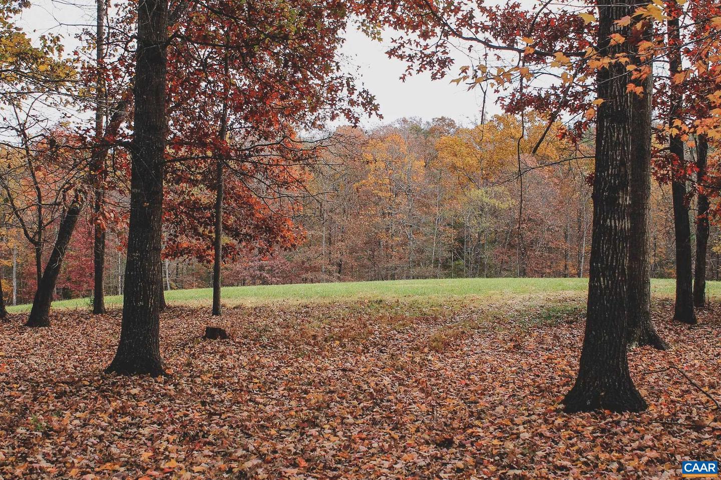 3785 ROLLING RD S, SCOTTSVILLE, Virginia 24590, 2 Bedrooms Bedrooms, ,1 BathroomBathrooms,Farm,For Sale,3785 ROLLING RD S,670836 MLS # 670836