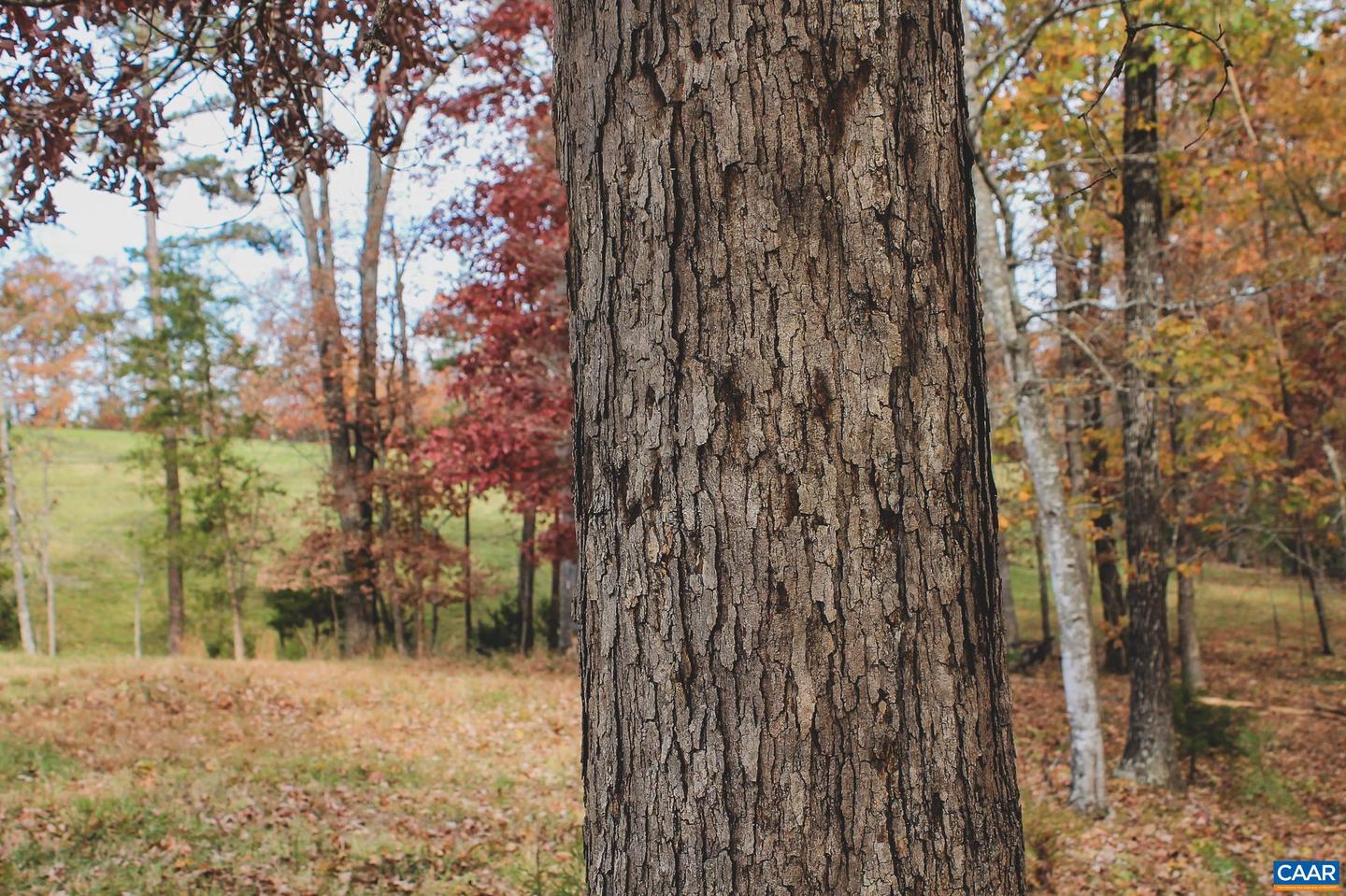 3785 ROLLING RD S, SCOTTSVILLE, Virginia 24590, 2 Bedrooms Bedrooms, ,1 BathroomBathrooms,Farm,For Sale,3785 ROLLING RD S,670836 MLS # 670836