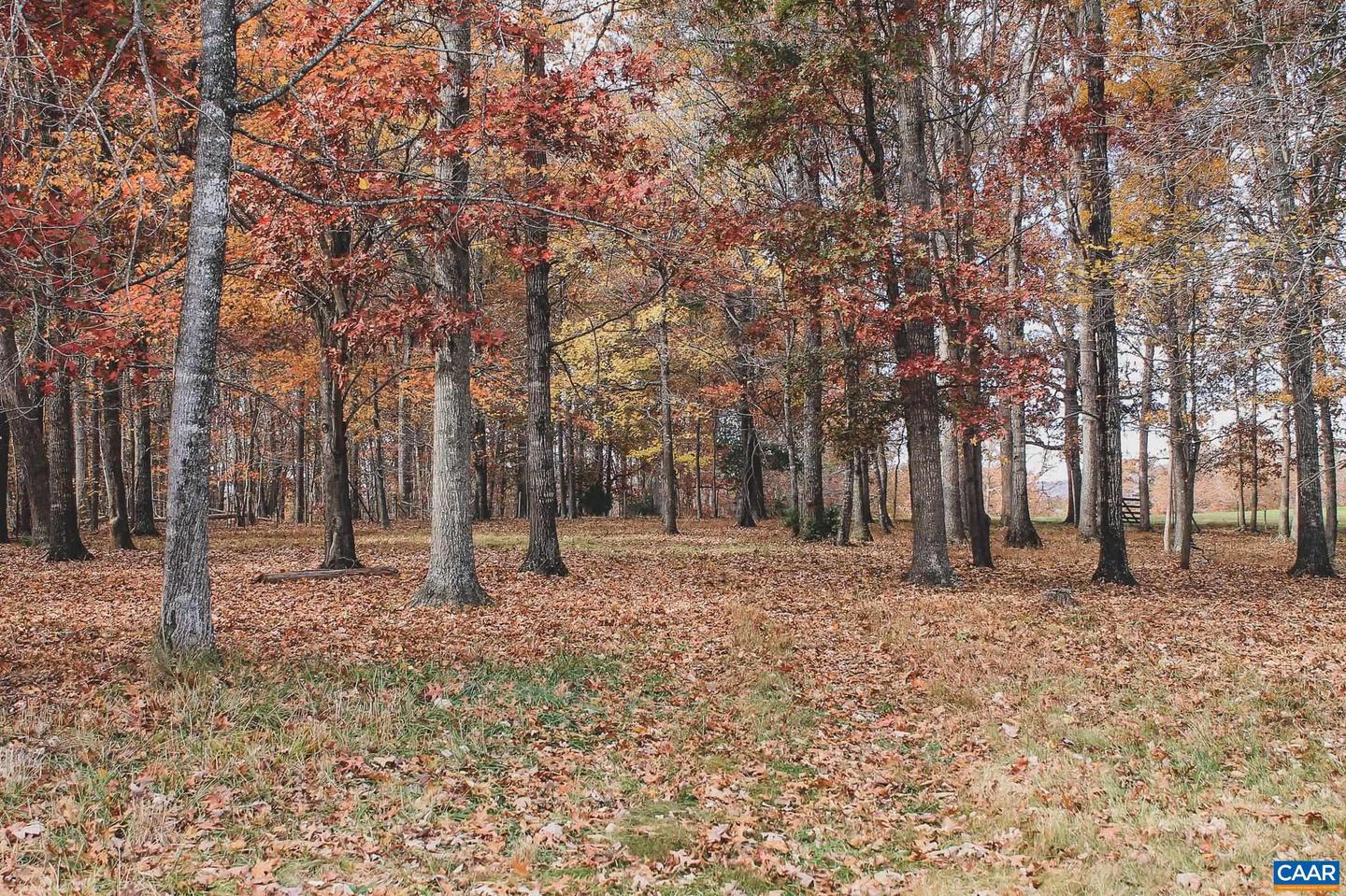 3785 ROLLING RD S, SCOTTSVILLE, Virginia 24590, 2 Bedrooms Bedrooms, ,1 BathroomBathrooms,Farm,For Sale,3785 ROLLING RD S,670836 MLS # 670836