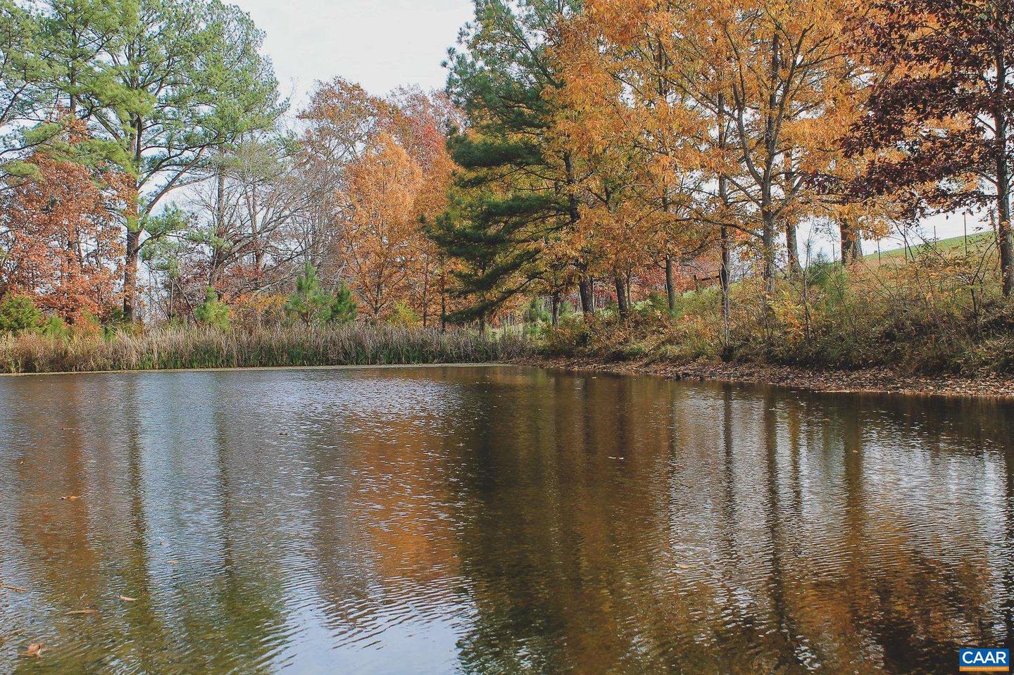 3785 ROLLING RD S, SCOTTSVILLE, Virginia 24590, 2 Bedrooms Bedrooms, ,1 BathroomBathrooms,Farm,For Sale,3785 ROLLING RD S,670836 MLS # 670836