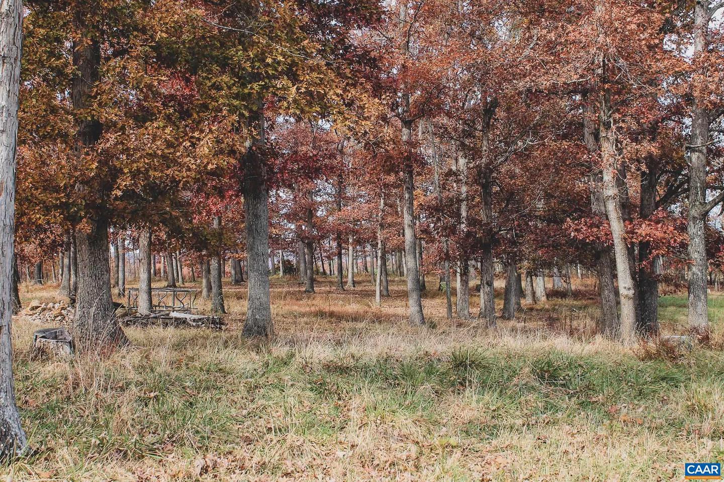 3785 ROLLING RD S, SCOTTSVILLE, Virginia 24590, 2 Bedrooms Bedrooms, ,1 BathroomBathrooms,Farm,For Sale,3785 ROLLING RD S,670836 MLS # 670836