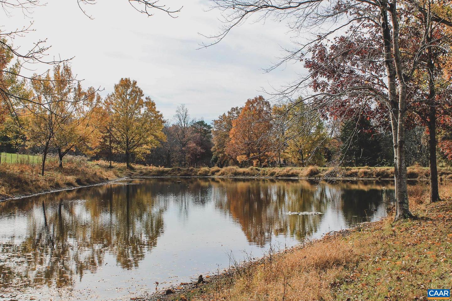 3785 ROLLING RD S, SCOTTSVILLE, Virginia 24590, 2 Bedrooms Bedrooms, ,1 BathroomBathrooms,Farm,For Sale,3785 ROLLING RD S,670836 MLS # 670836