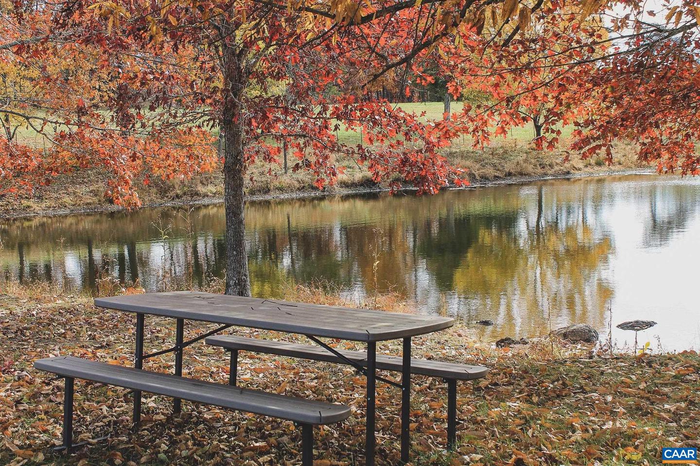 3785 ROLLING RD S, SCOTTSVILLE, Virginia 24590, 2 Bedrooms Bedrooms, ,1 BathroomBathrooms,Farm,For Sale,3785 ROLLING RD S,670836 MLS # 670836