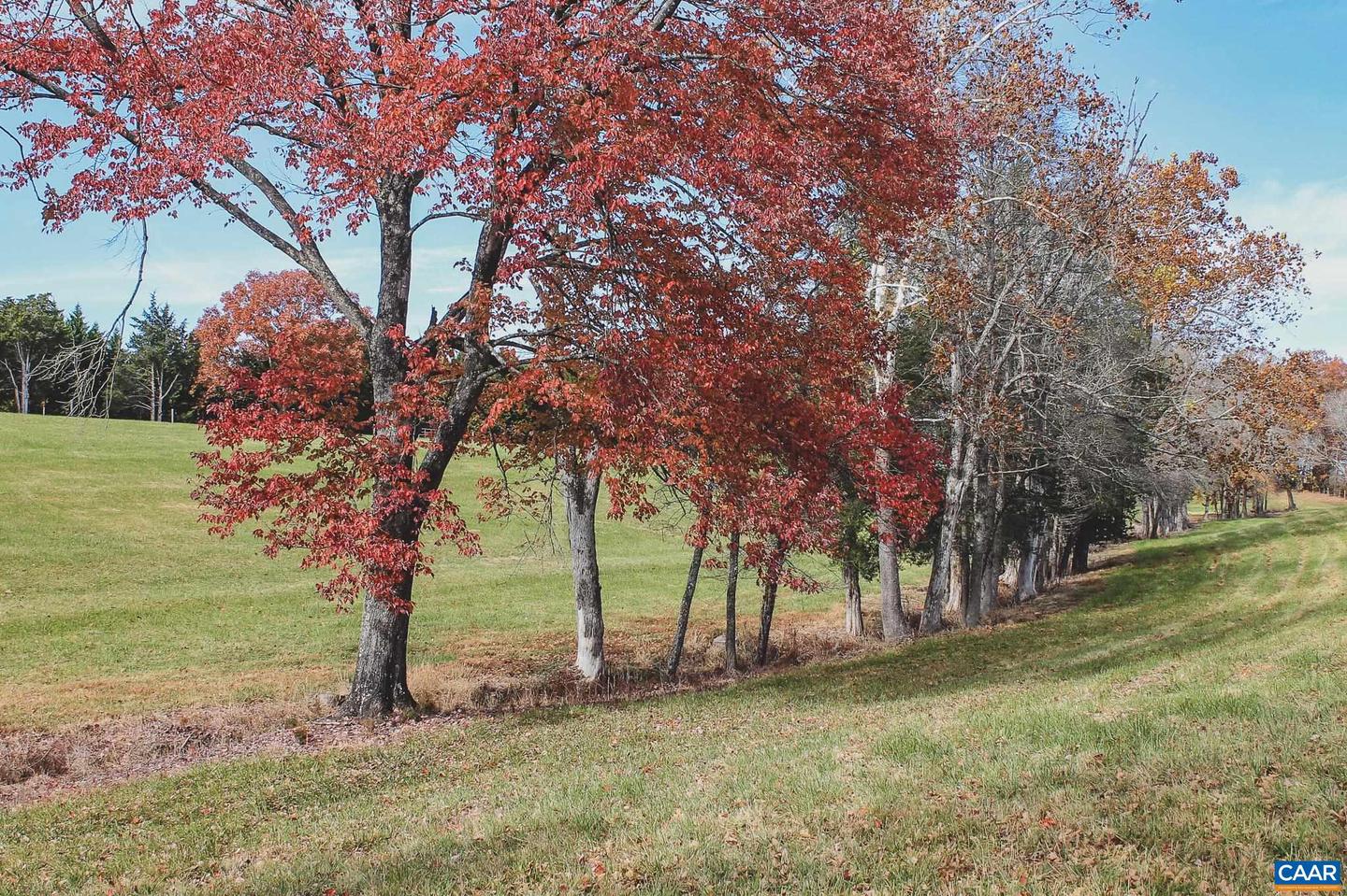 3785 ROLLING RD S, SCOTTSVILLE, Virginia 24590, 2 Bedrooms Bedrooms, ,1 BathroomBathrooms,Farm,For Sale,3785 ROLLING RD S,670836 MLS # 670836