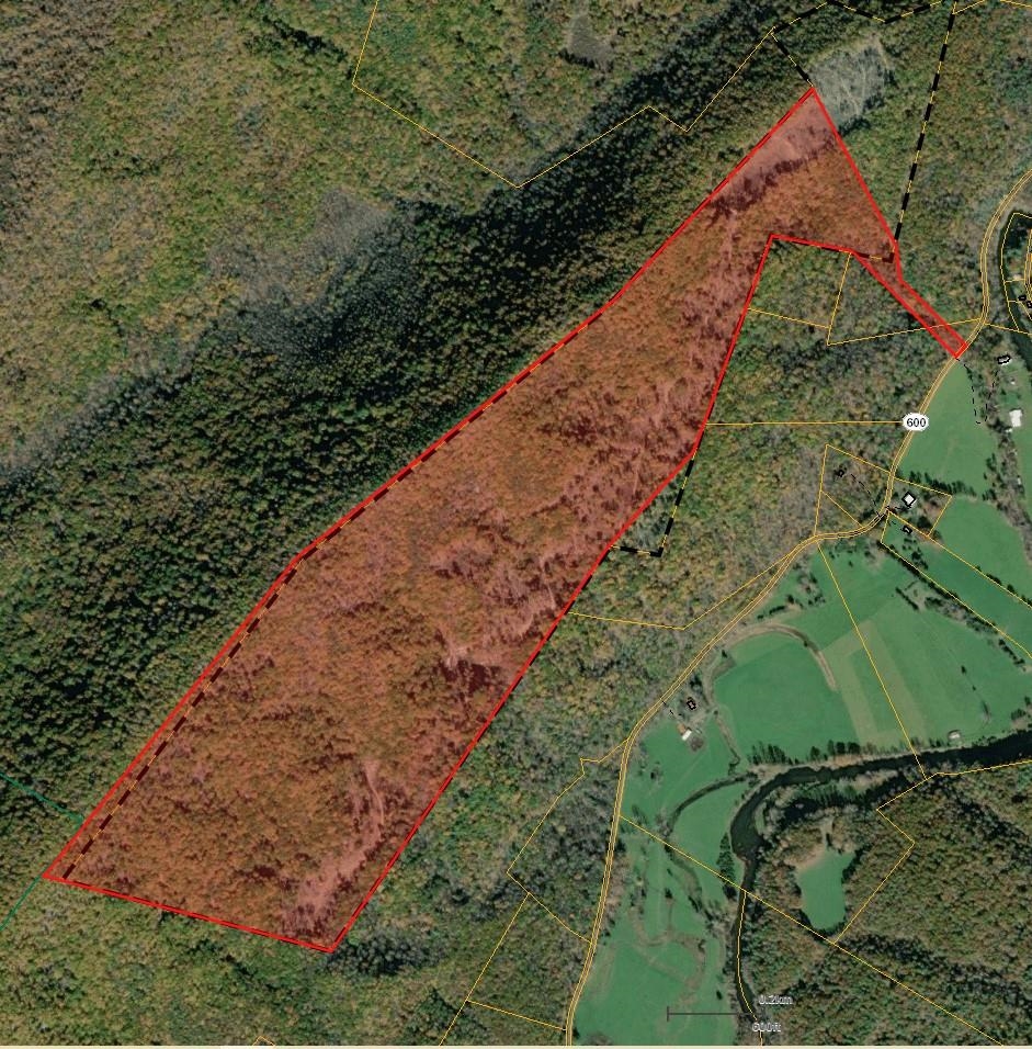 0 BIG RIVER RD, GOSHEN, Virginia 24439, ,Farm,14,0 BIG RIVER RD,670882 MLS # 670882