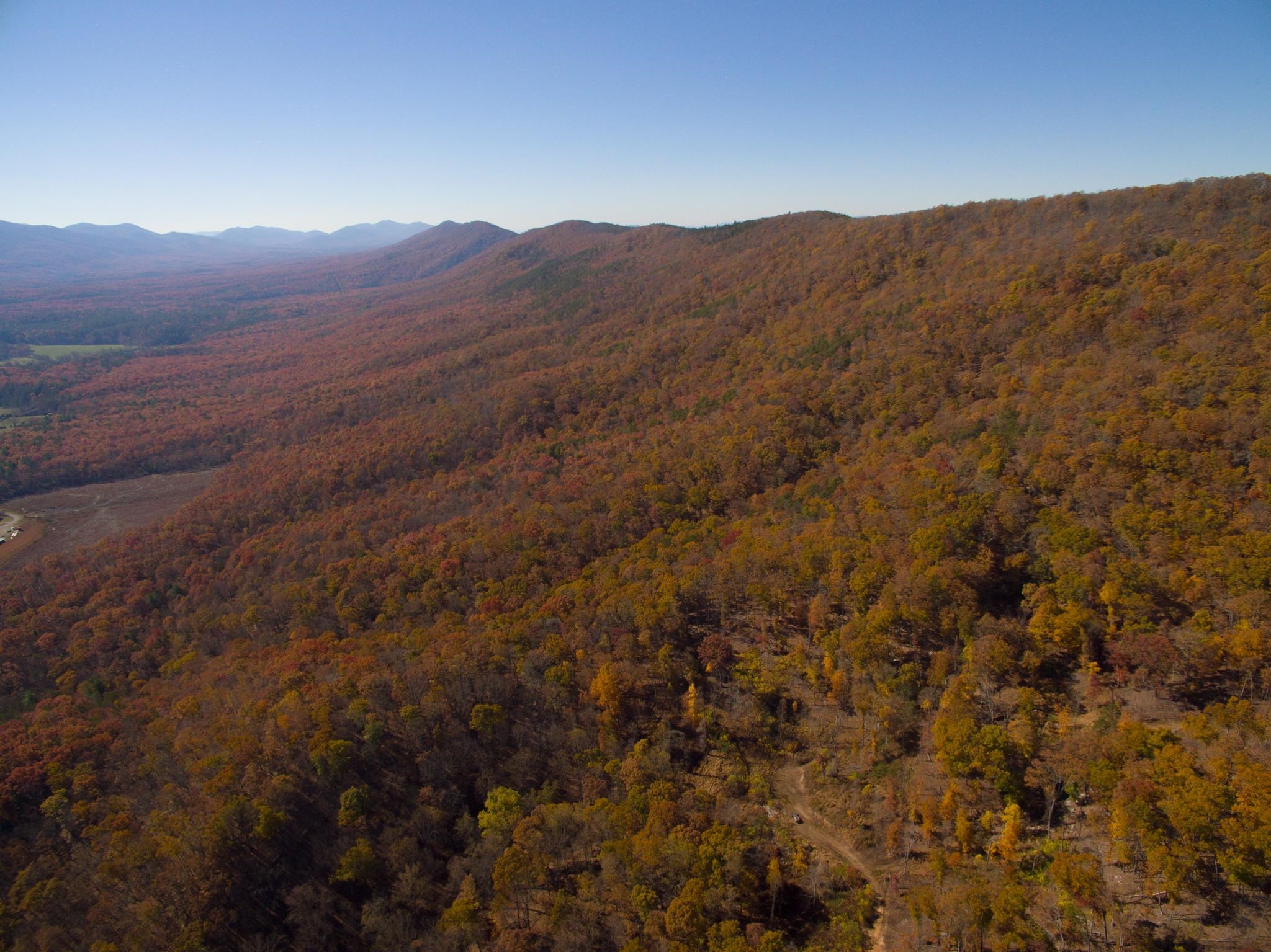 0 BIG RIVER RD, GOSHEN, Virginia 24439, ,Farm,14,0 BIG RIVER RD,670882 MLS # 670882