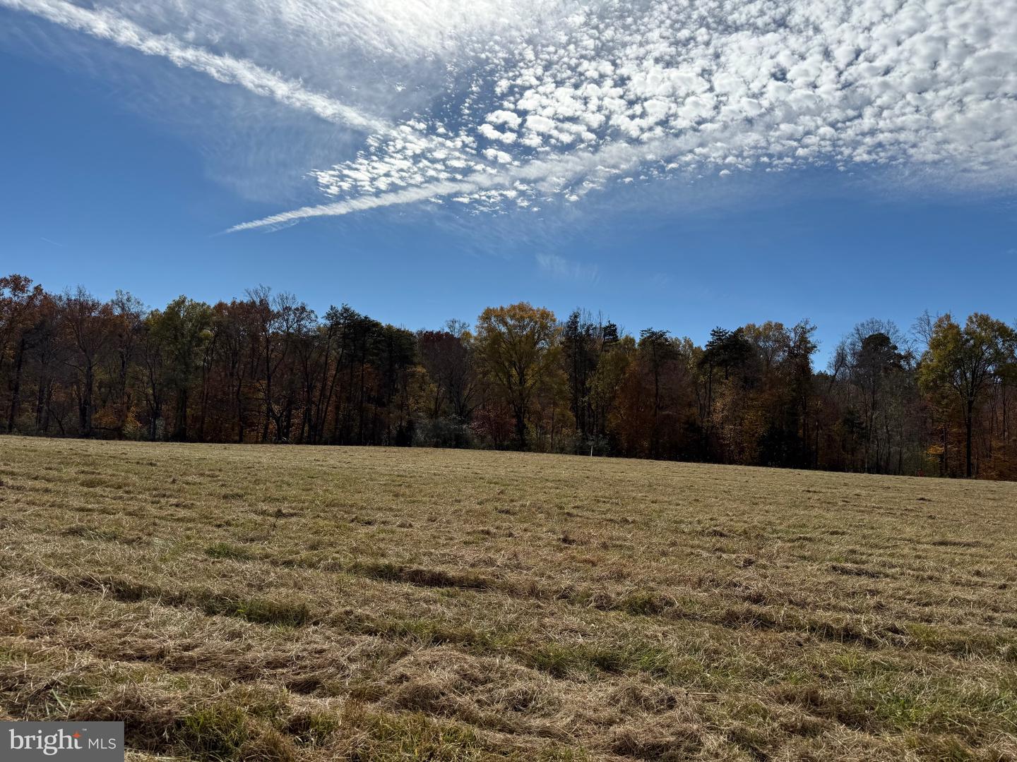0 BRIDGEPORT RD, ARVONIA, Virginia 23004, ,Land,For Sale,0 BRIDGEPORT RD,VABH2000236 MLS # VABH2000236 0 BRIDGEPORT RD, ARVONIA, Virginia 23004, ,Land,For Sale,0 BRIDGEPORT RD,VABH2000236 MLS # VABH2000236
