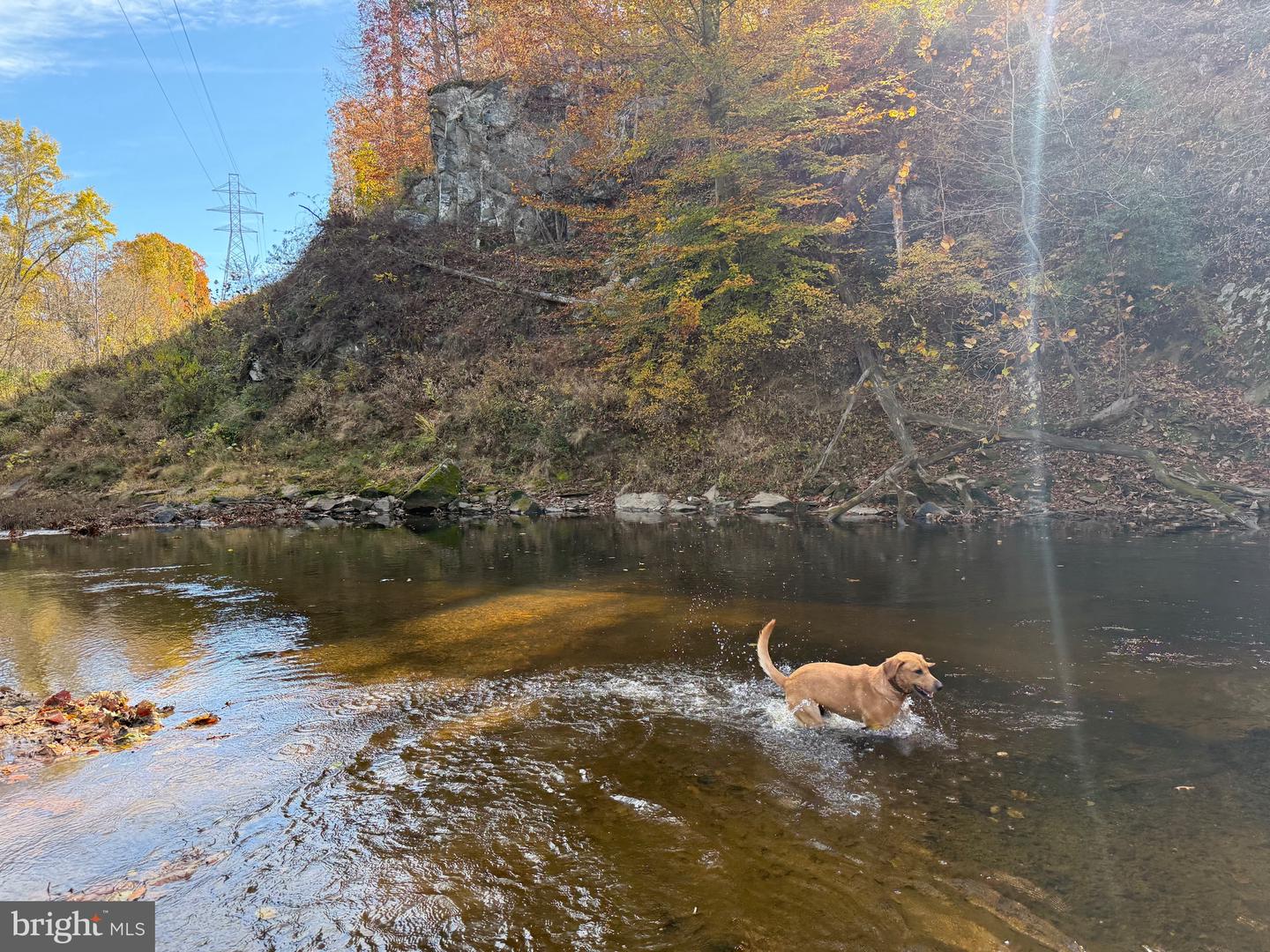 0 BRIDGEPORT RD, ARVONIA, Virginia 23004, ,Land,For Sale,0 BRIDGEPORT RD,VABH2000236 MLS # VABH2000236 0 BRIDGEPORT RD, ARVONIA, Virginia 23004, ,Land,For Sale,0 BRIDGEPORT RD,VABH2000236 MLS # VABH2000236