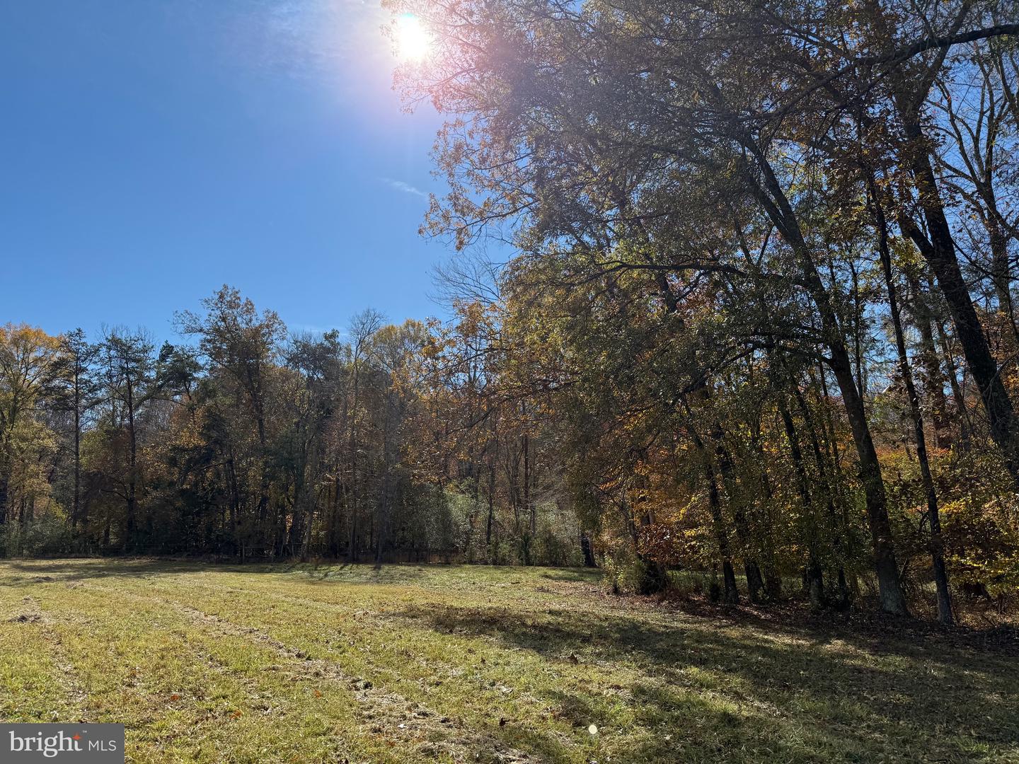 0 BRIDGEPORT RD, ARVONIA, Virginia 23004, ,Land,For Sale,0 BRIDGEPORT RD,VABH2000236 MLS # VABH2000236 0 BRIDGEPORT RD, ARVONIA, Virginia 23004, ,Land,For Sale,0 BRIDGEPORT RD,VABH2000236 MLS # VABH2000236