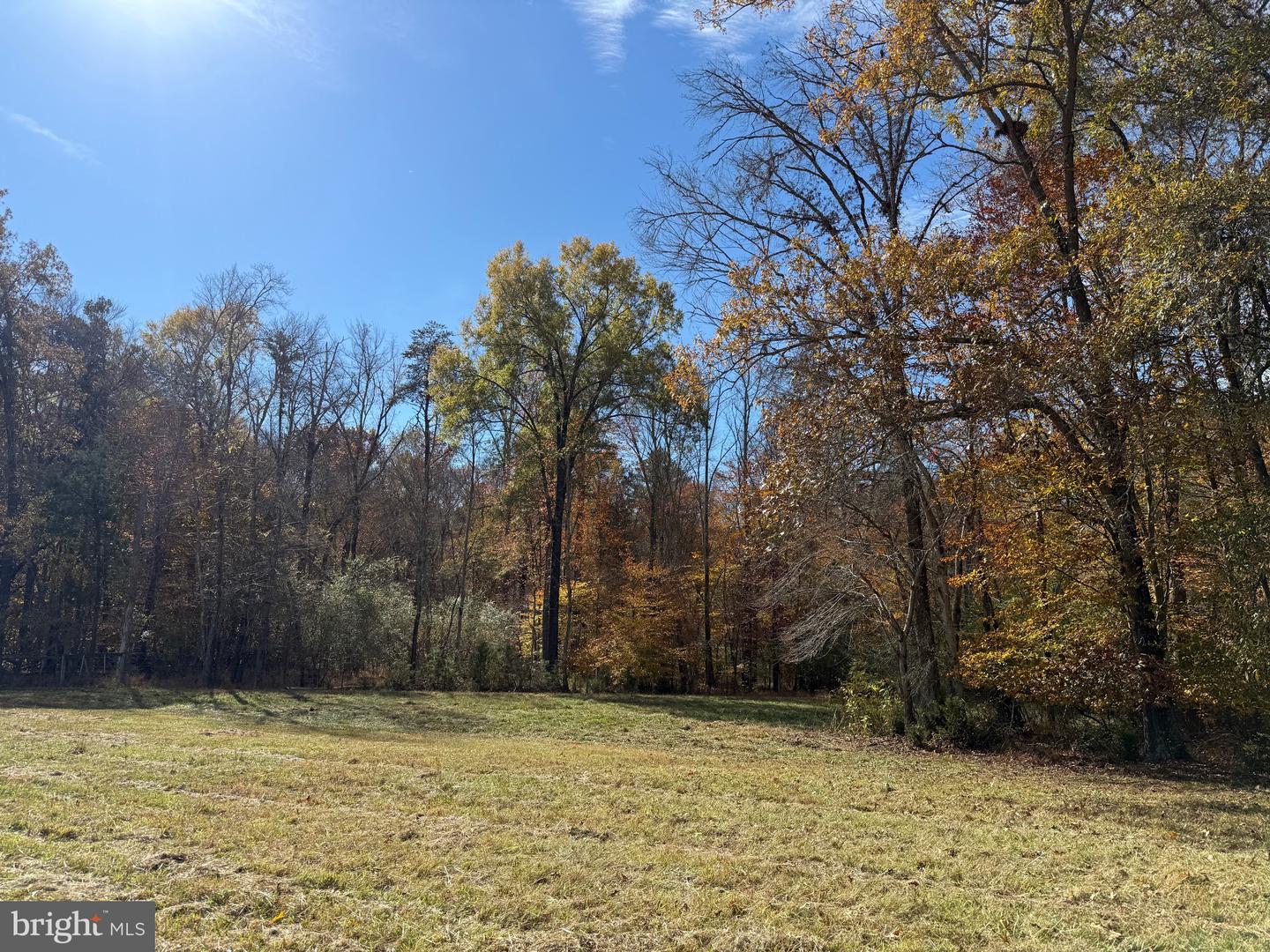 0 BRIDGEPORT RD, ARVONIA, Virginia 23004, ,Land,For Sale,0 BRIDGEPORT RD,VABH2000236 MLS # VABH2000236 0 BRIDGEPORT RD, ARVONIA, Virginia 23004, ,Land,For Sale,0 BRIDGEPORT RD,VABH2000236 MLS # VABH2000236