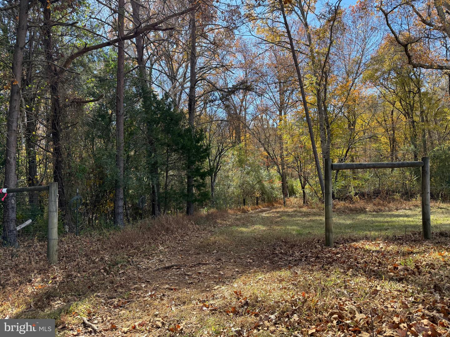 0 BRIDGEPORT RD, ARVONIA, Virginia 23004, ,Land,For Sale,0 BRIDGEPORT RD,VABH2000236 MLS # VABH2000236 0 BRIDGEPORT RD, ARVONIA, Virginia 23004, ,Land,For Sale,0 BRIDGEPORT RD,VABH2000236 MLS # VABH2000236