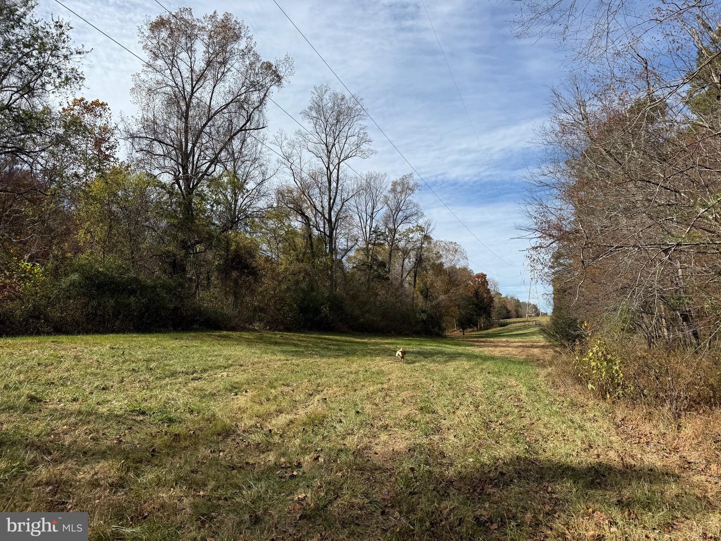0 BRIDGEPORT RD, ARVONIA, Virginia 23004, ,Land,For Sale,0 BRIDGEPORT RD,VABH2000236 MLS # VABH2000236 0 BRIDGEPORT RD, ARVONIA, Virginia 23004, ,Land,For Sale,0 BRIDGEPORT RD,VABH2000236 MLS # VABH2000236