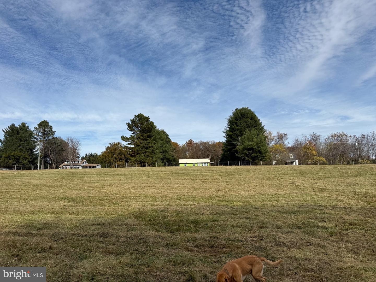 0 BRIDGEPORT RD, ARVONIA, Virginia 23004, ,Land,For Sale,0 BRIDGEPORT RD,VABH2000236 MLS # VABH2000236 0 BRIDGEPORT RD, ARVONIA, Virginia 23004, ,Land,For Sale,0 BRIDGEPORT RD,VABH2000236 MLS # VABH2000236