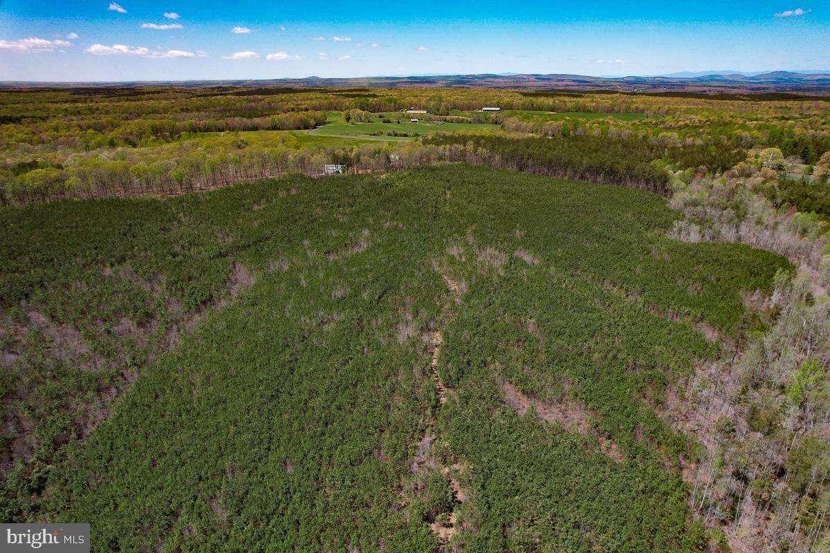 0 GILLIAM MILL RD, DILLWYN, Virginia 23936, ,Farm,For Sale,0 GILLIAM MILL RD,VABH2000238 MLS # VABH2000238