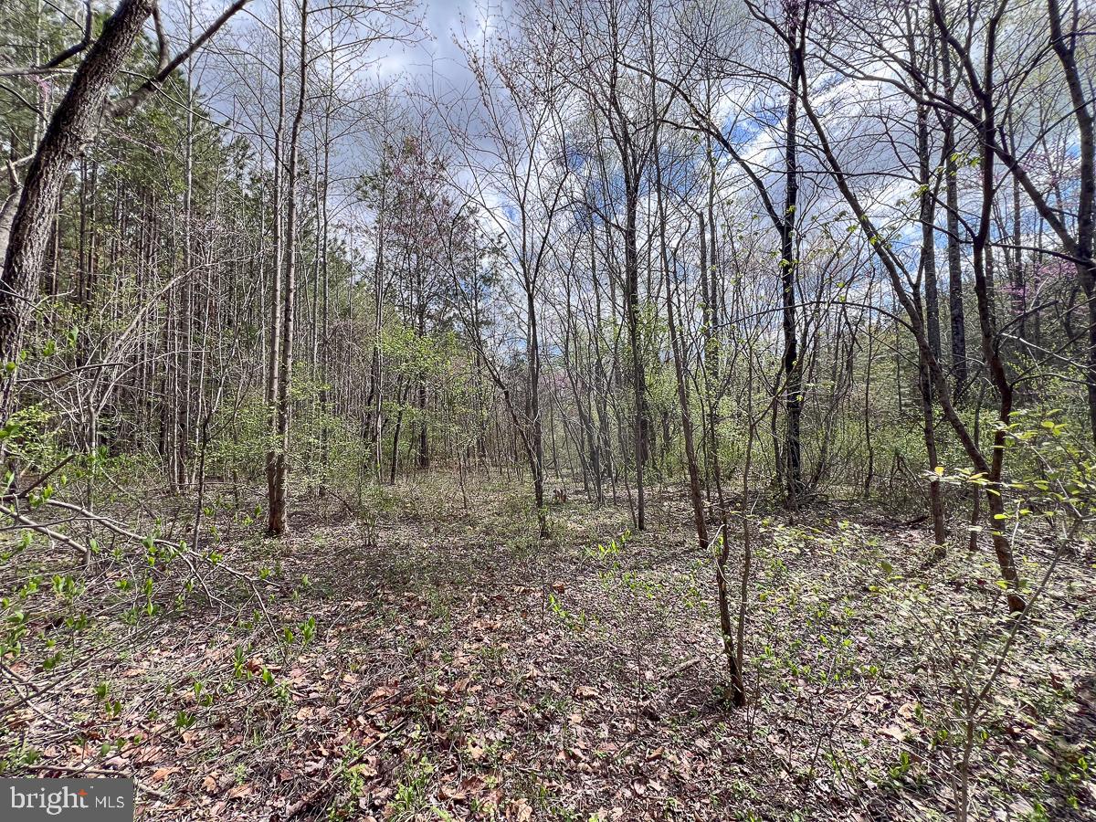 0 GILLIAM MILL RD, DILLWYN, Virginia 23936, ,Farm,For Sale,0 GILLIAM MILL RD,VABH2000238 MLS # VABH2000238