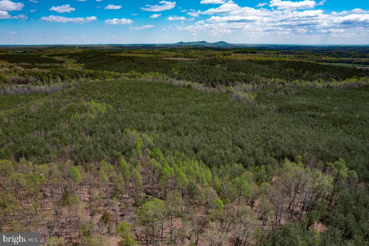 0 GILLIAM MILL RD, DILLWYN, Virginia 23936, ,Farm,For Sale,0 GILLIAM MILL RD,VABH2000238 MLS # VABH2000238